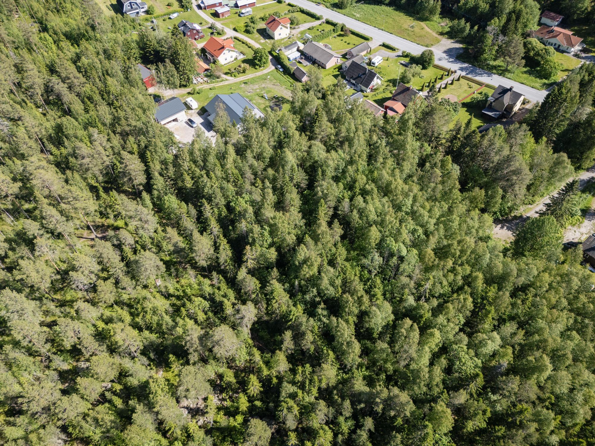 Sweden estate