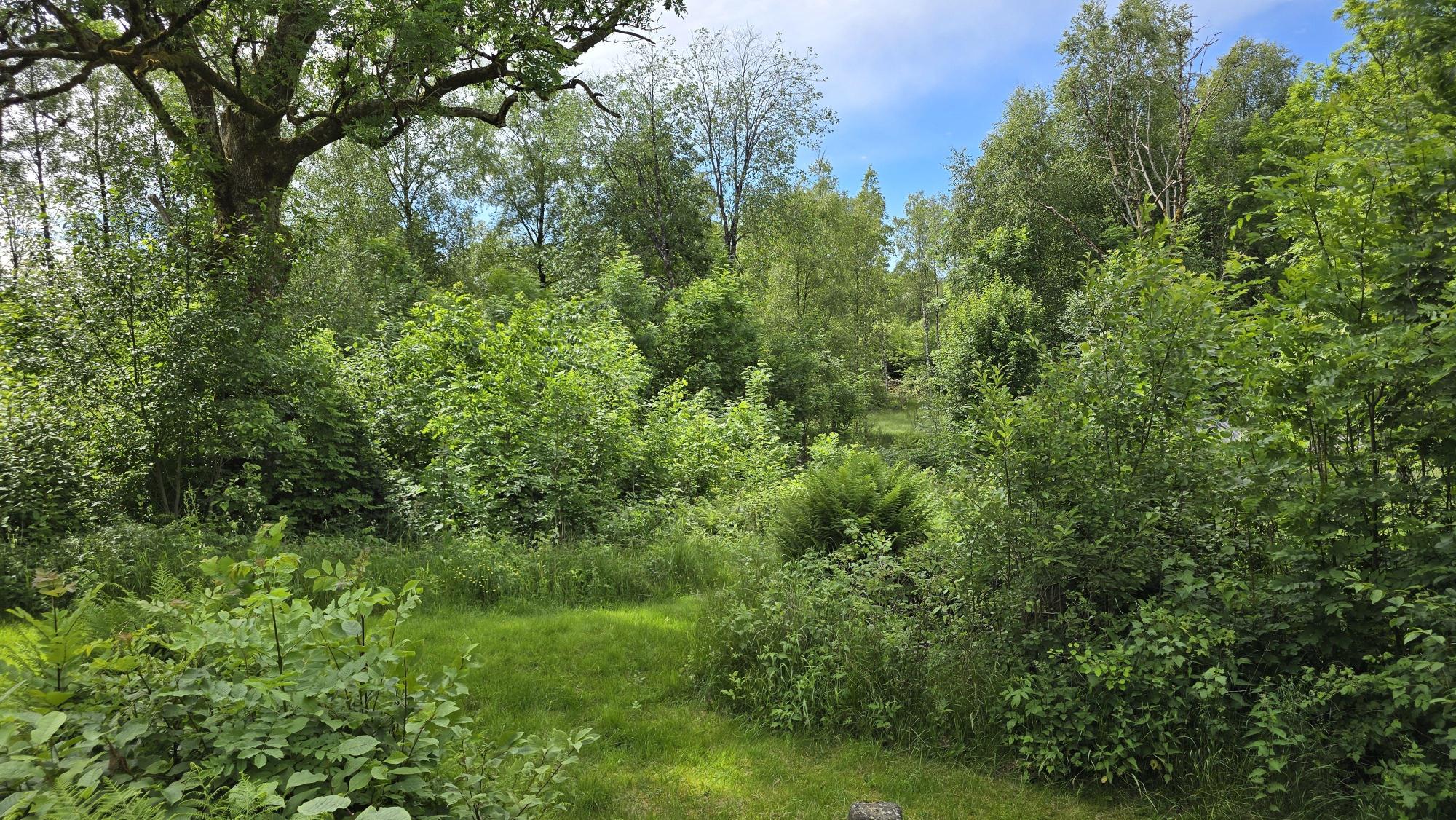 Sweden estate
