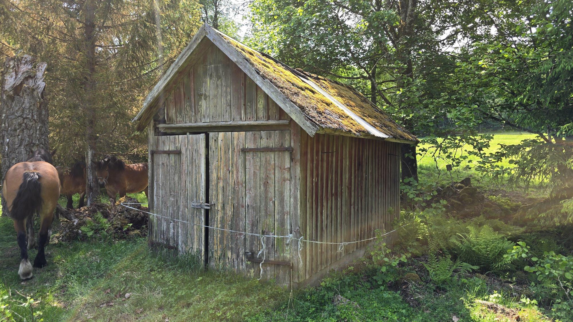 Sweden estate