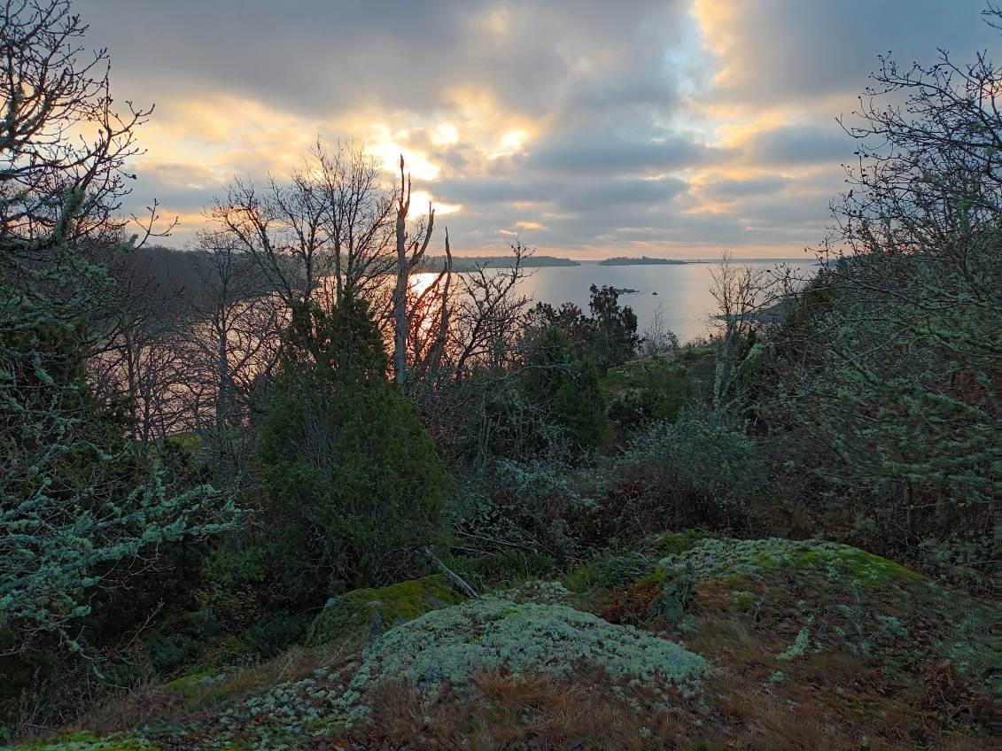 Sweden estate