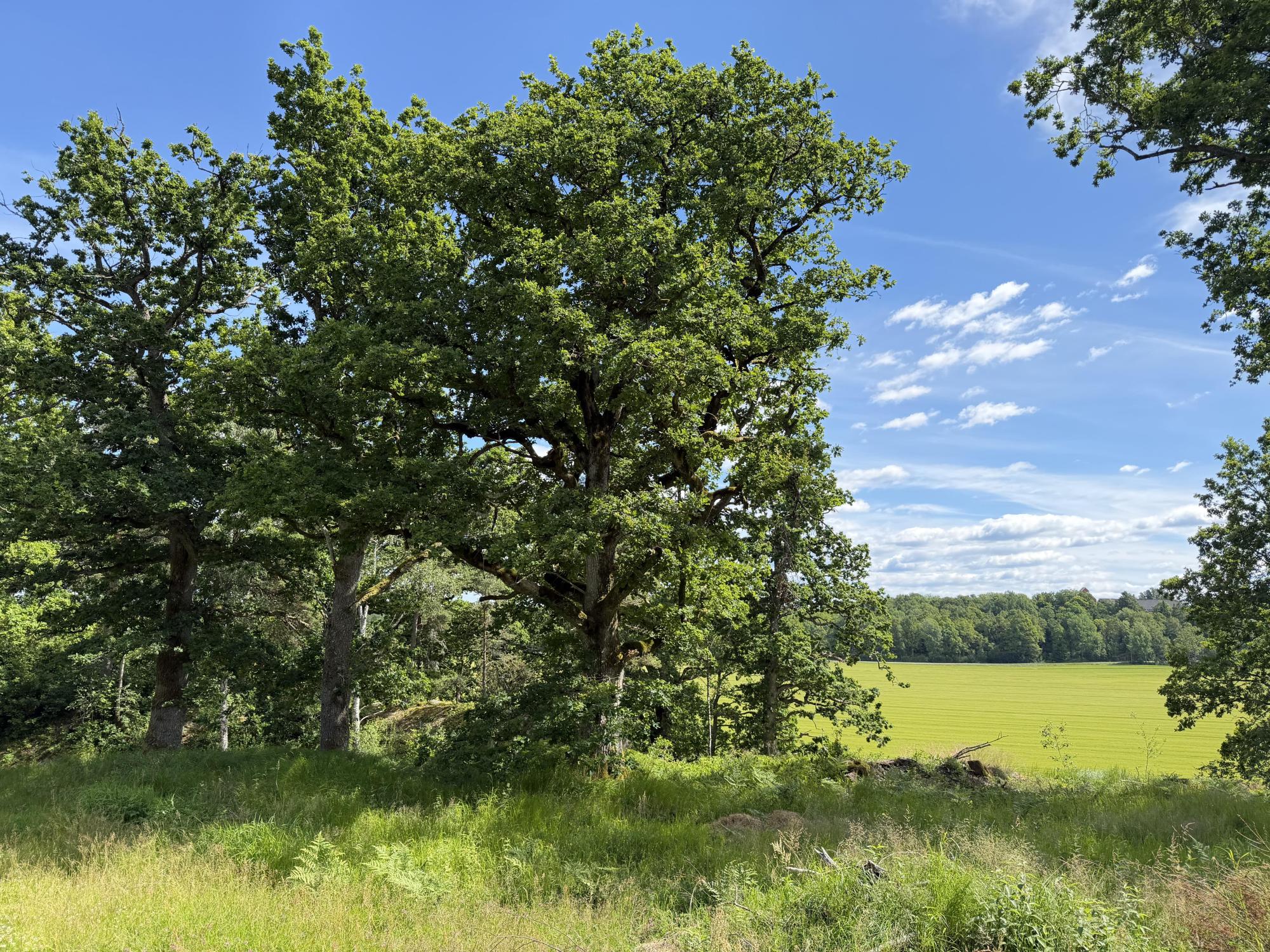Sweden estate