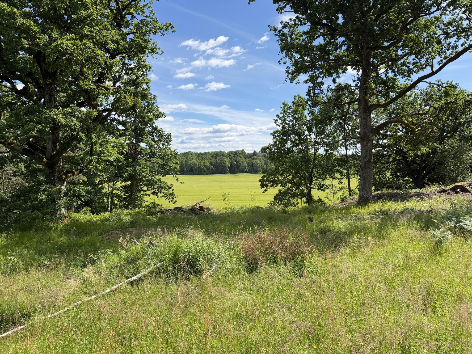 Sweden estate