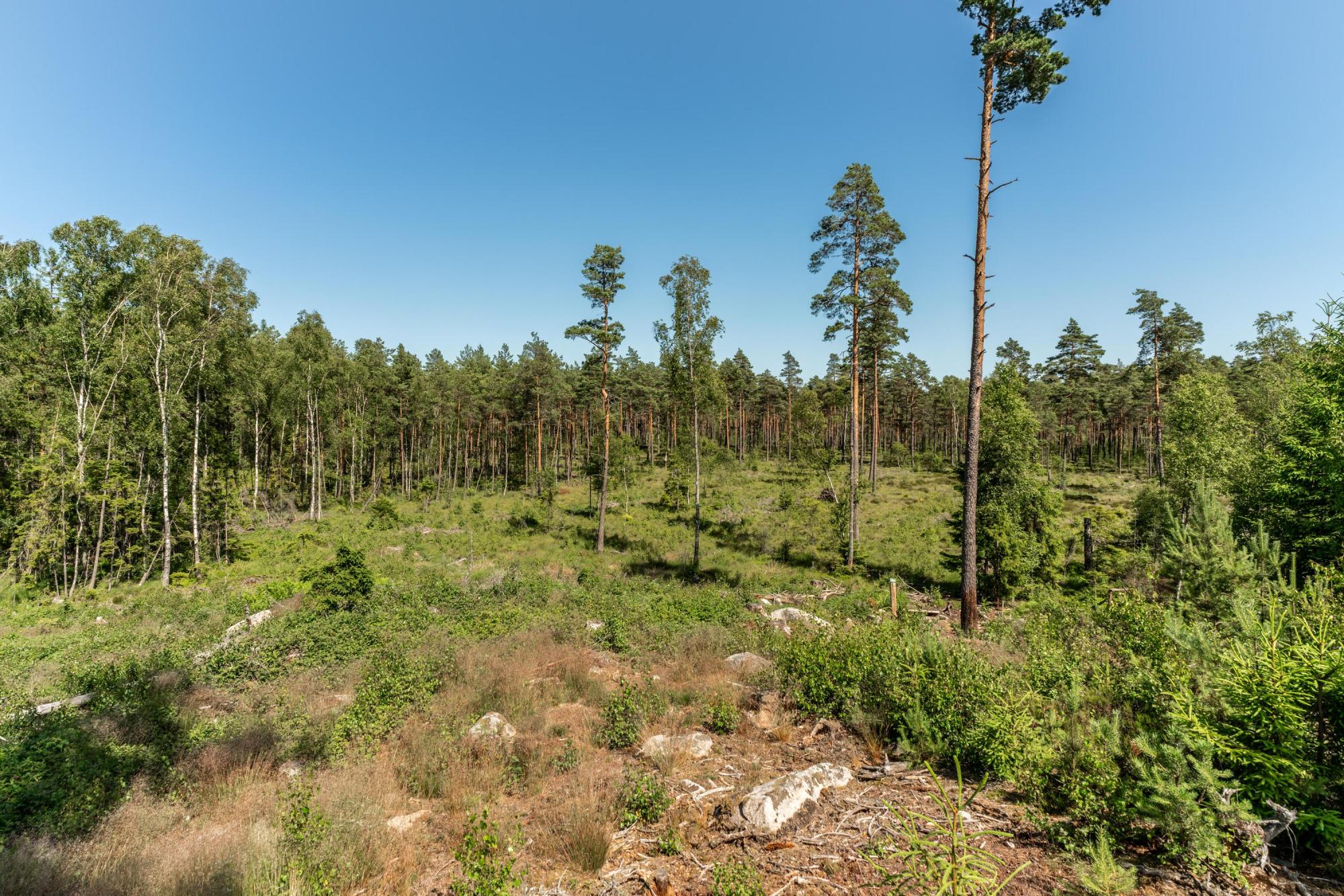Sweden estate