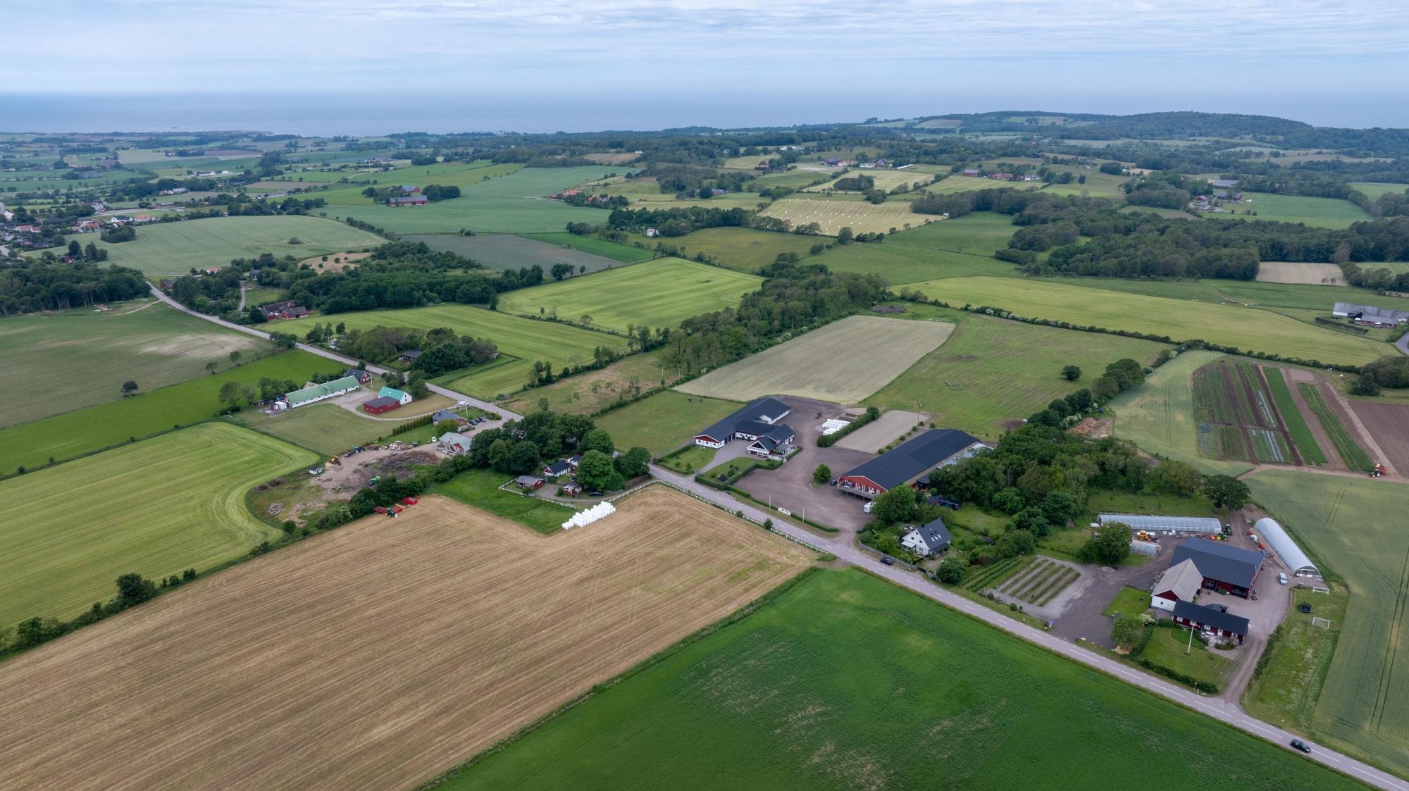 Sweden estate