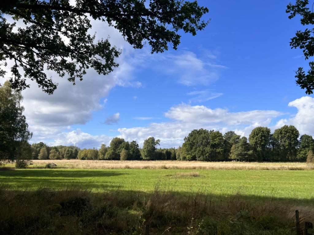 Sweden estate