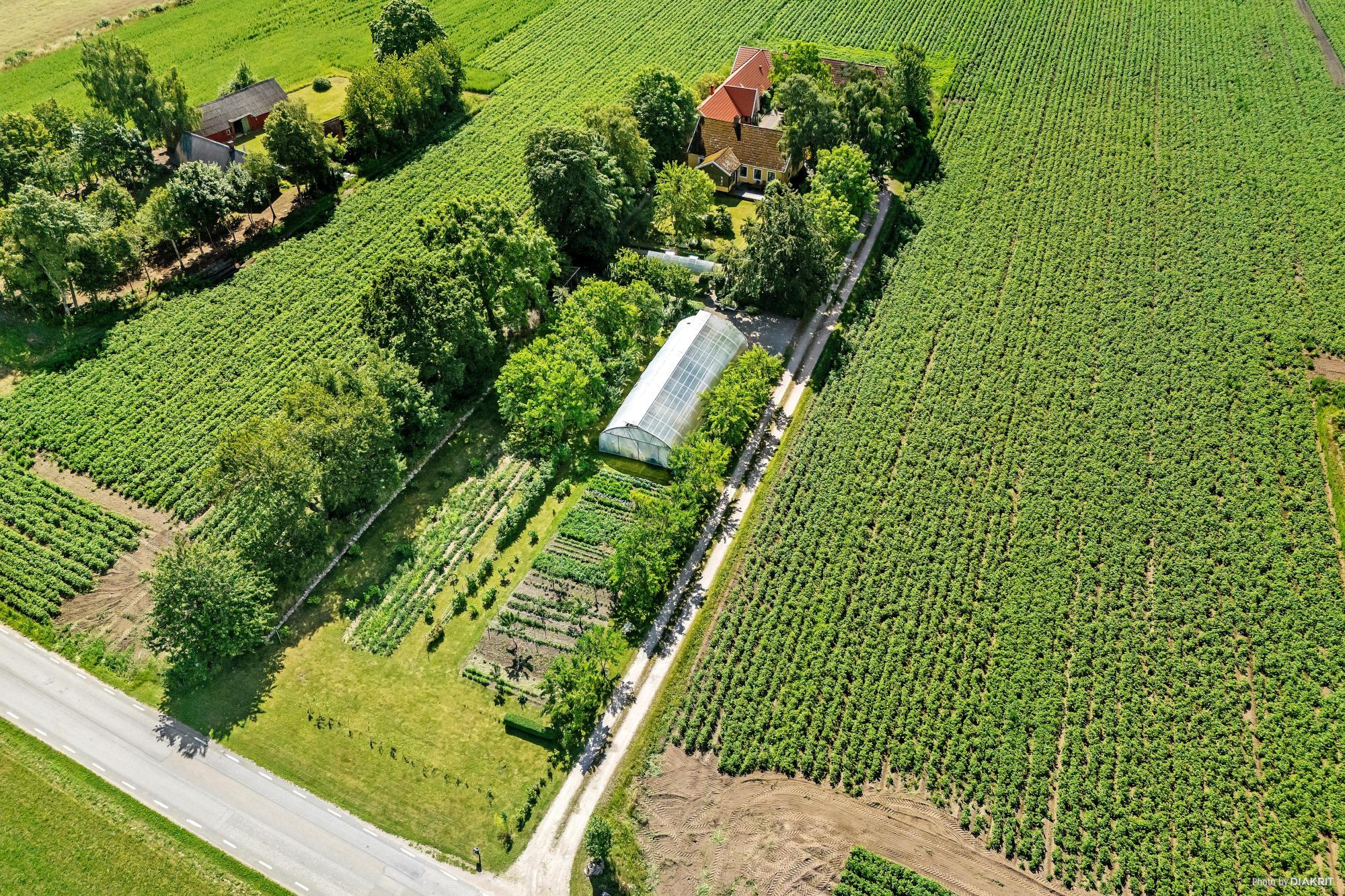 Sweden estate