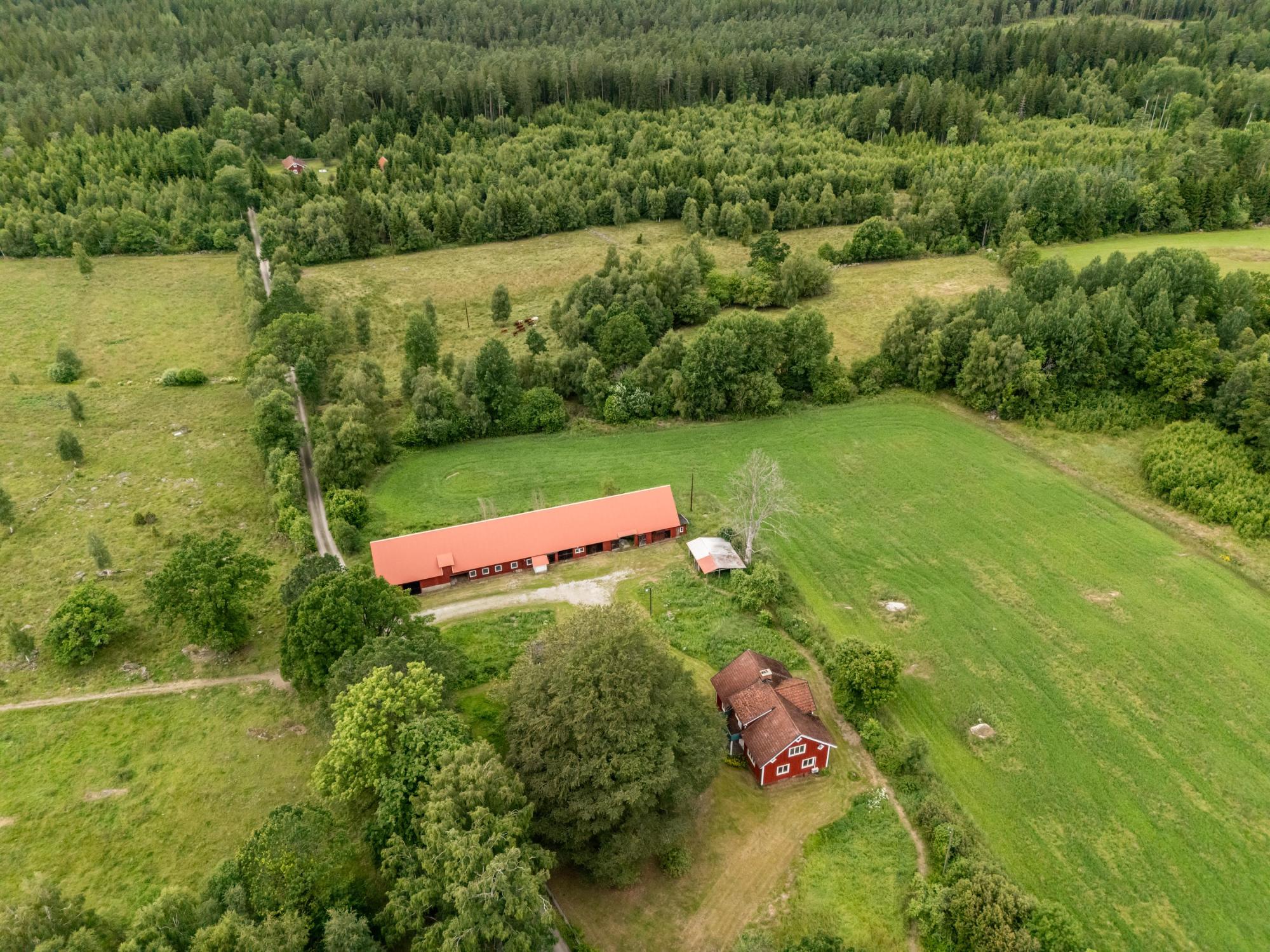 Sweden estate