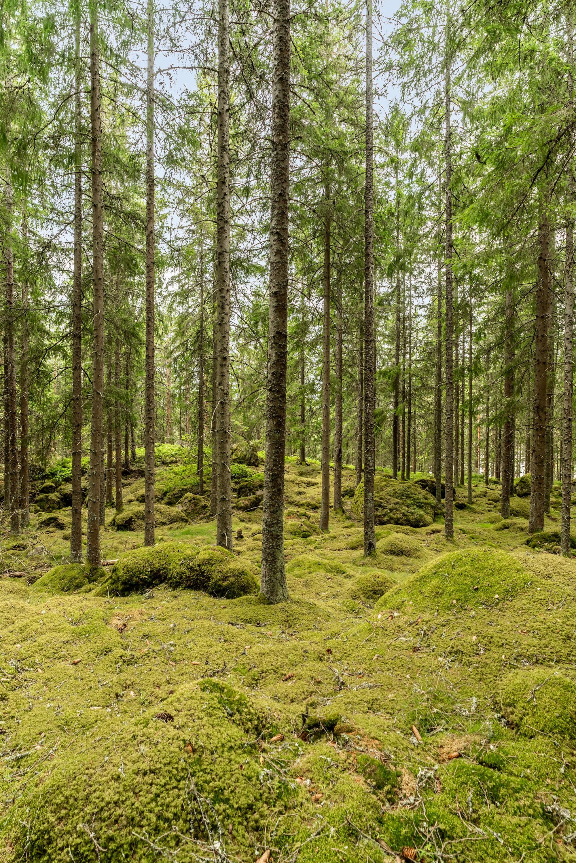 Sweden estate