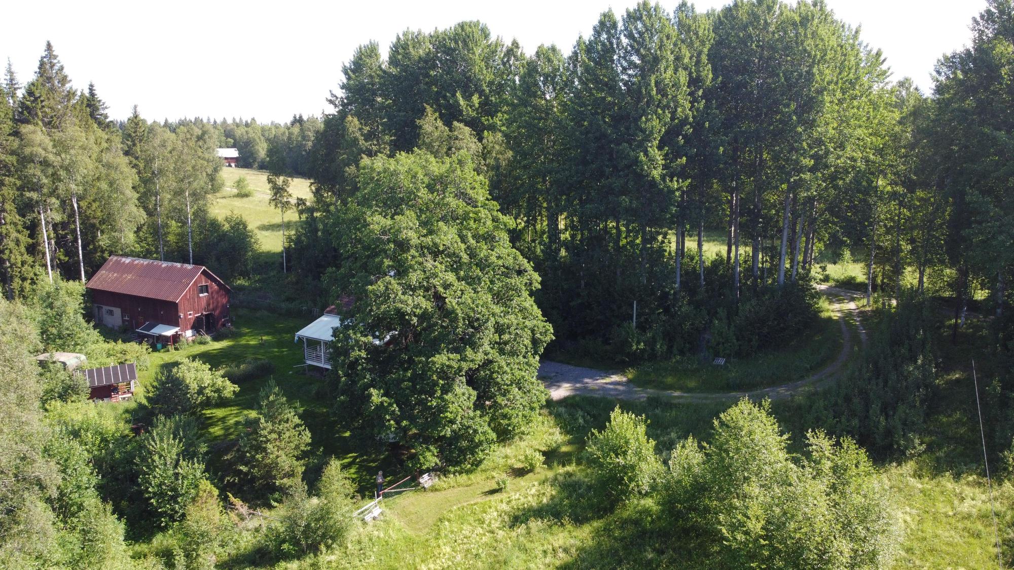 Sweden estate