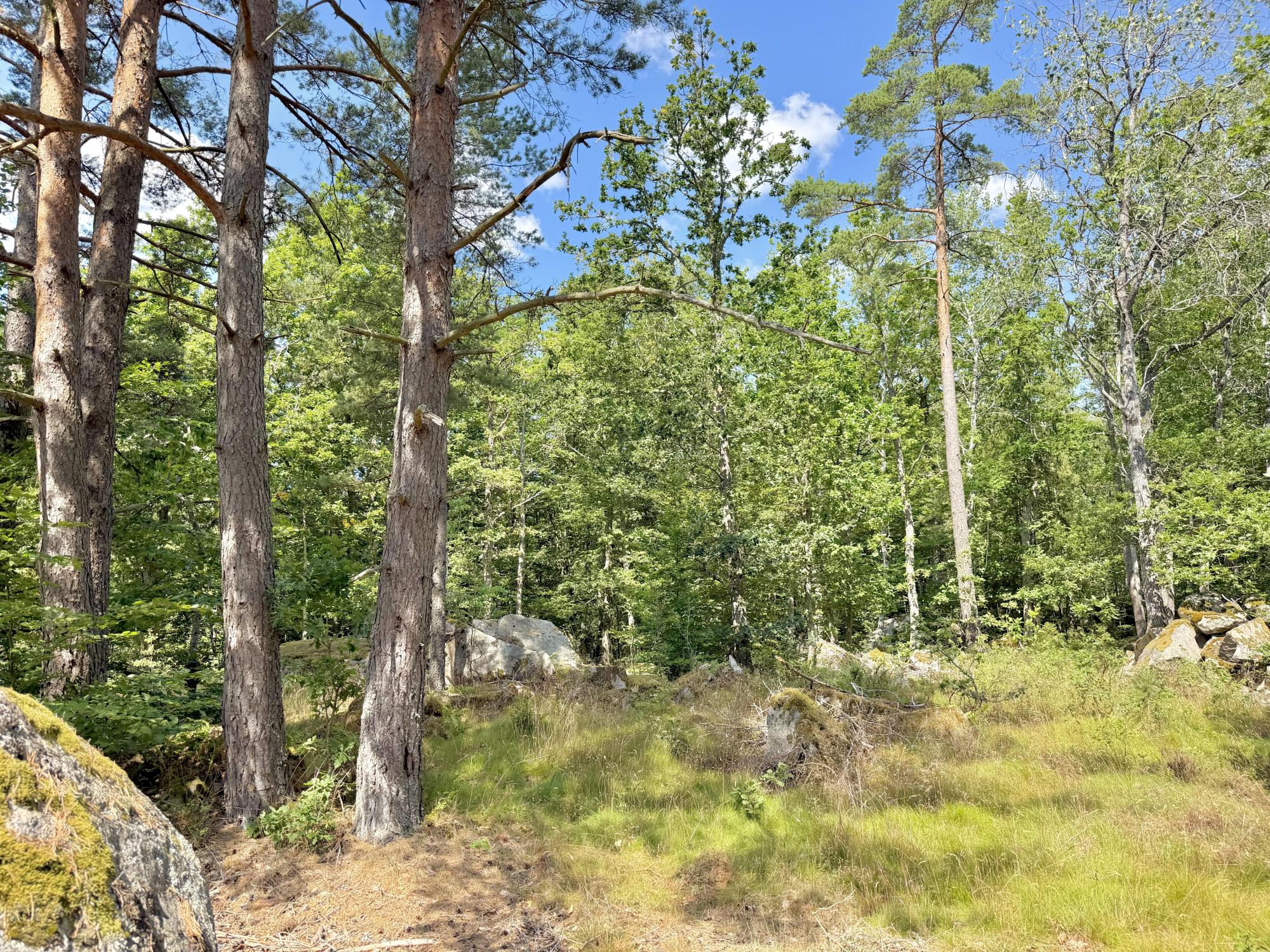 Sweden estate