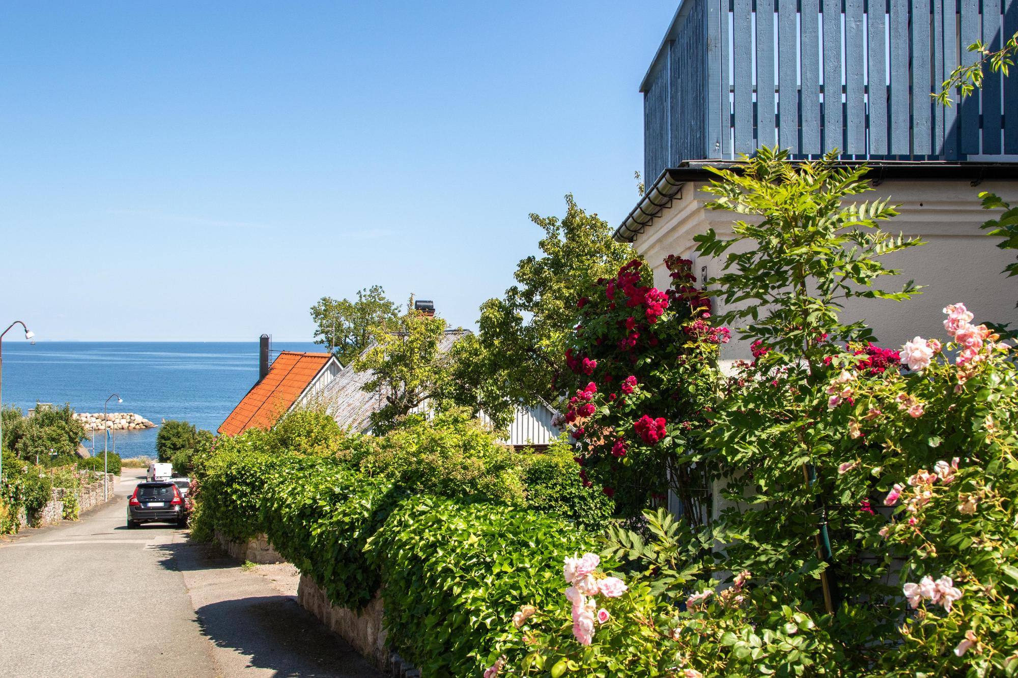 Sweden estate