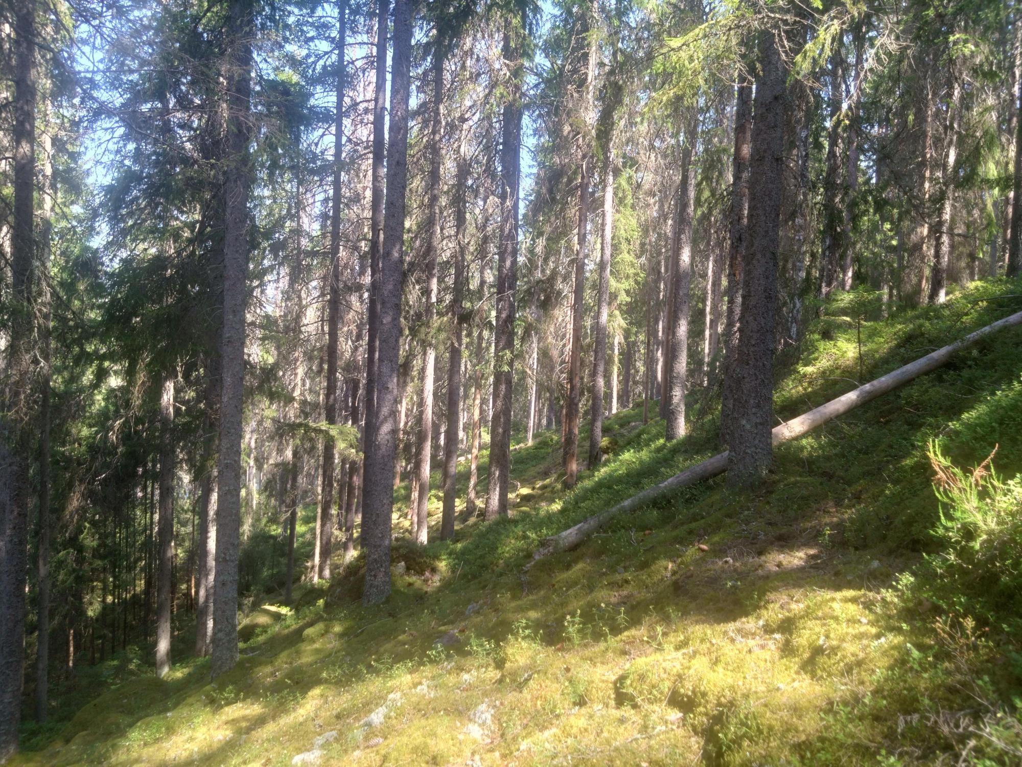 Sweden estate
