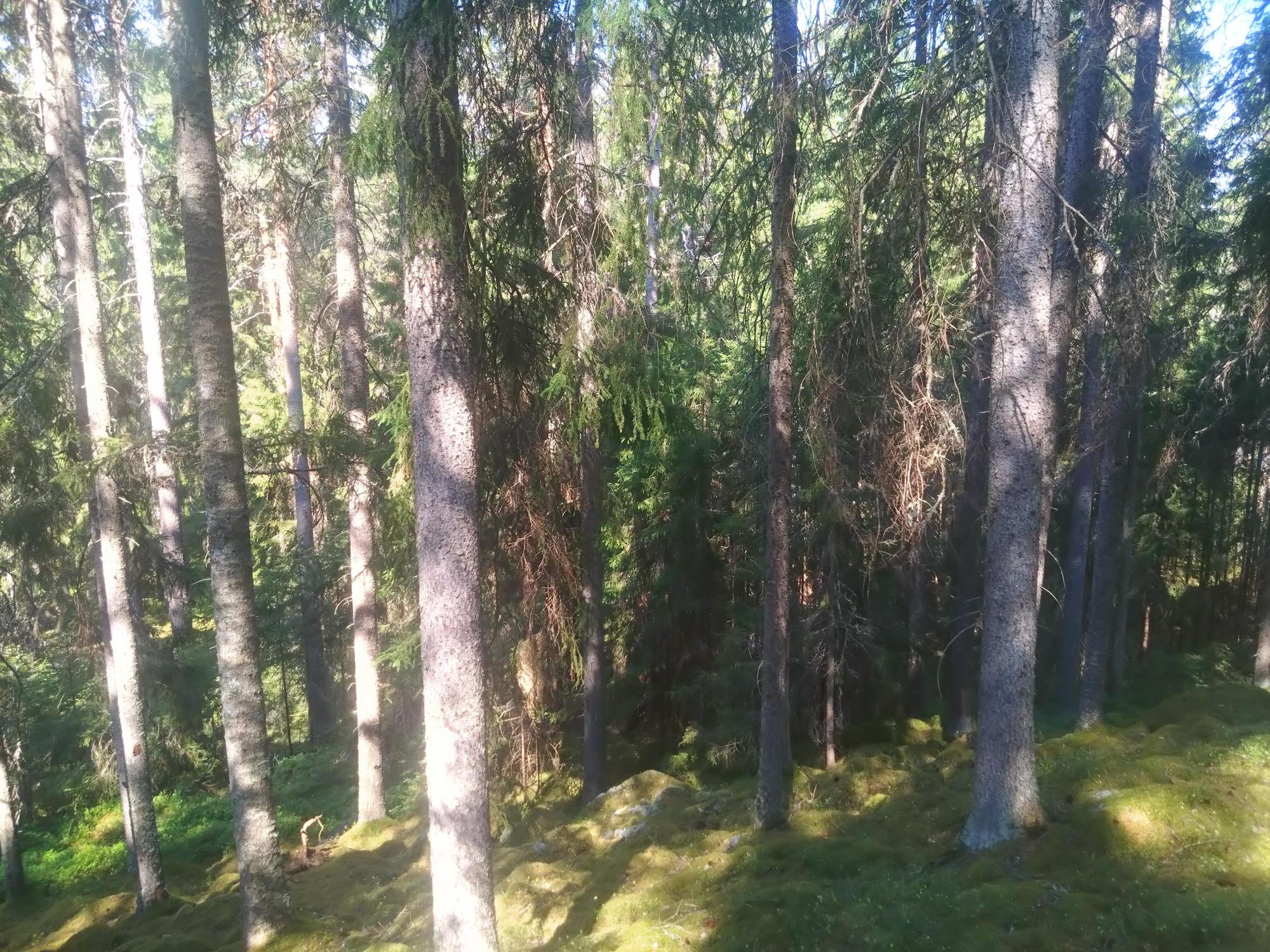 Sweden estate