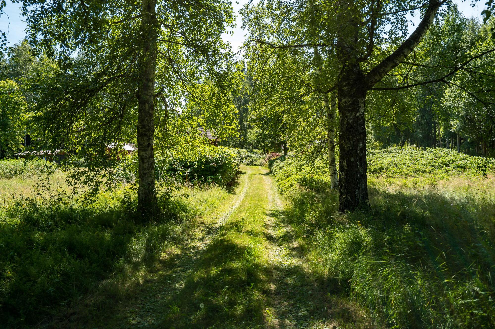 Sweden estate