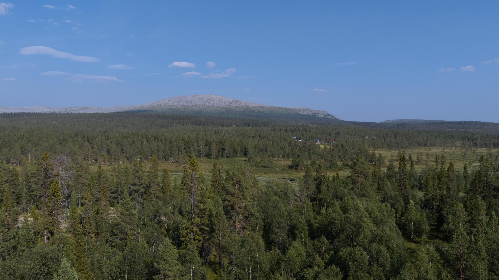 Sweden estate