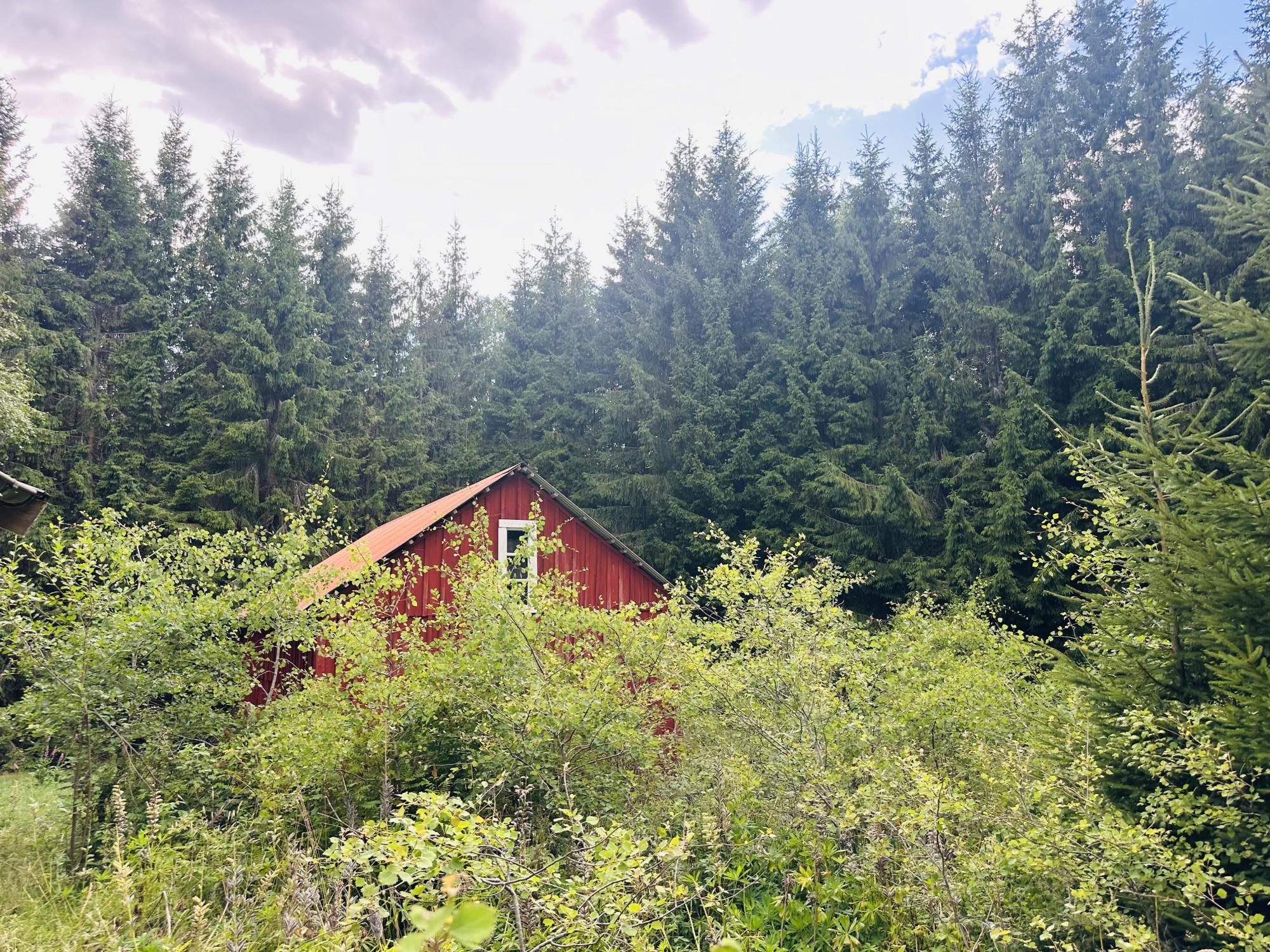 Sweden estate