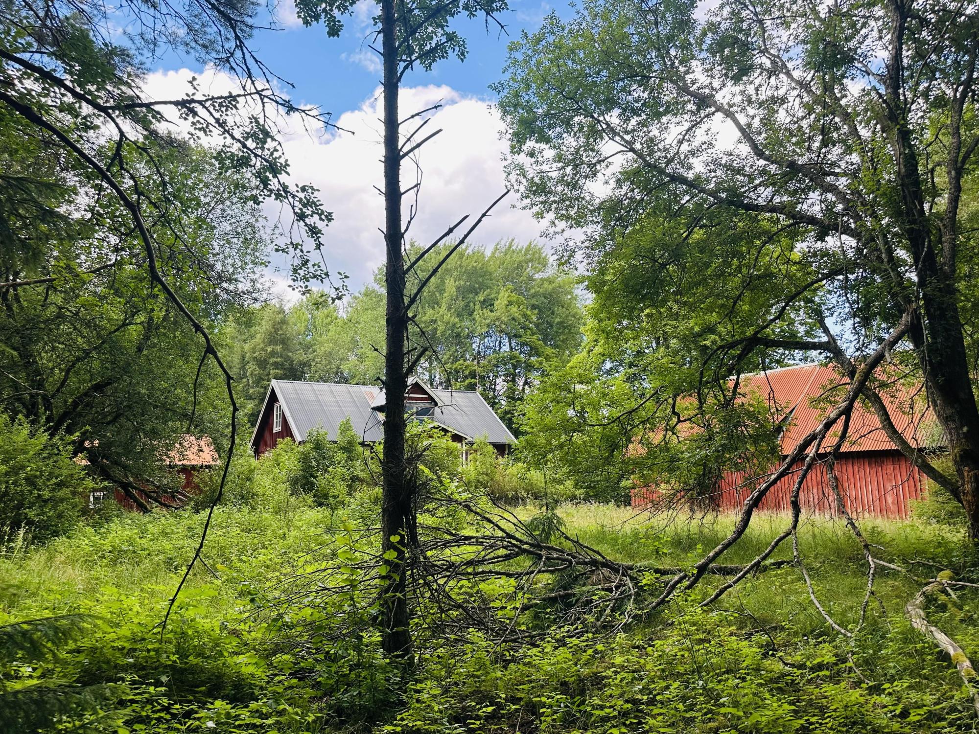 Sweden estate