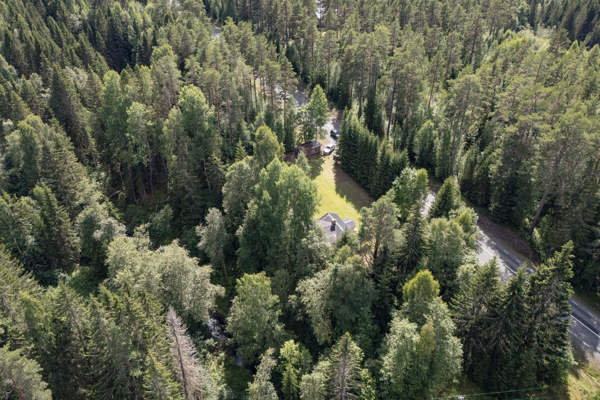 Sweden estate