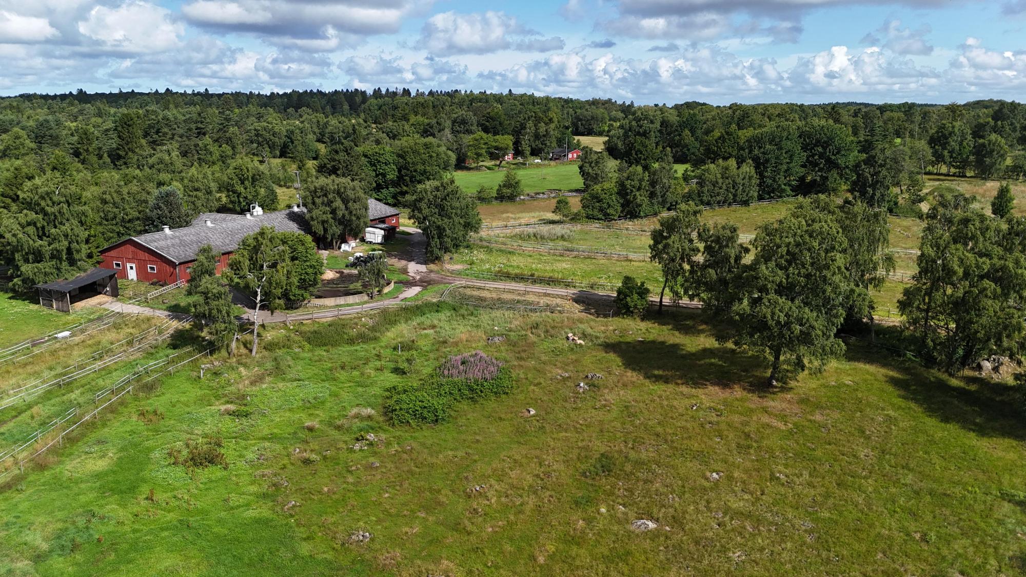 Sweden estate