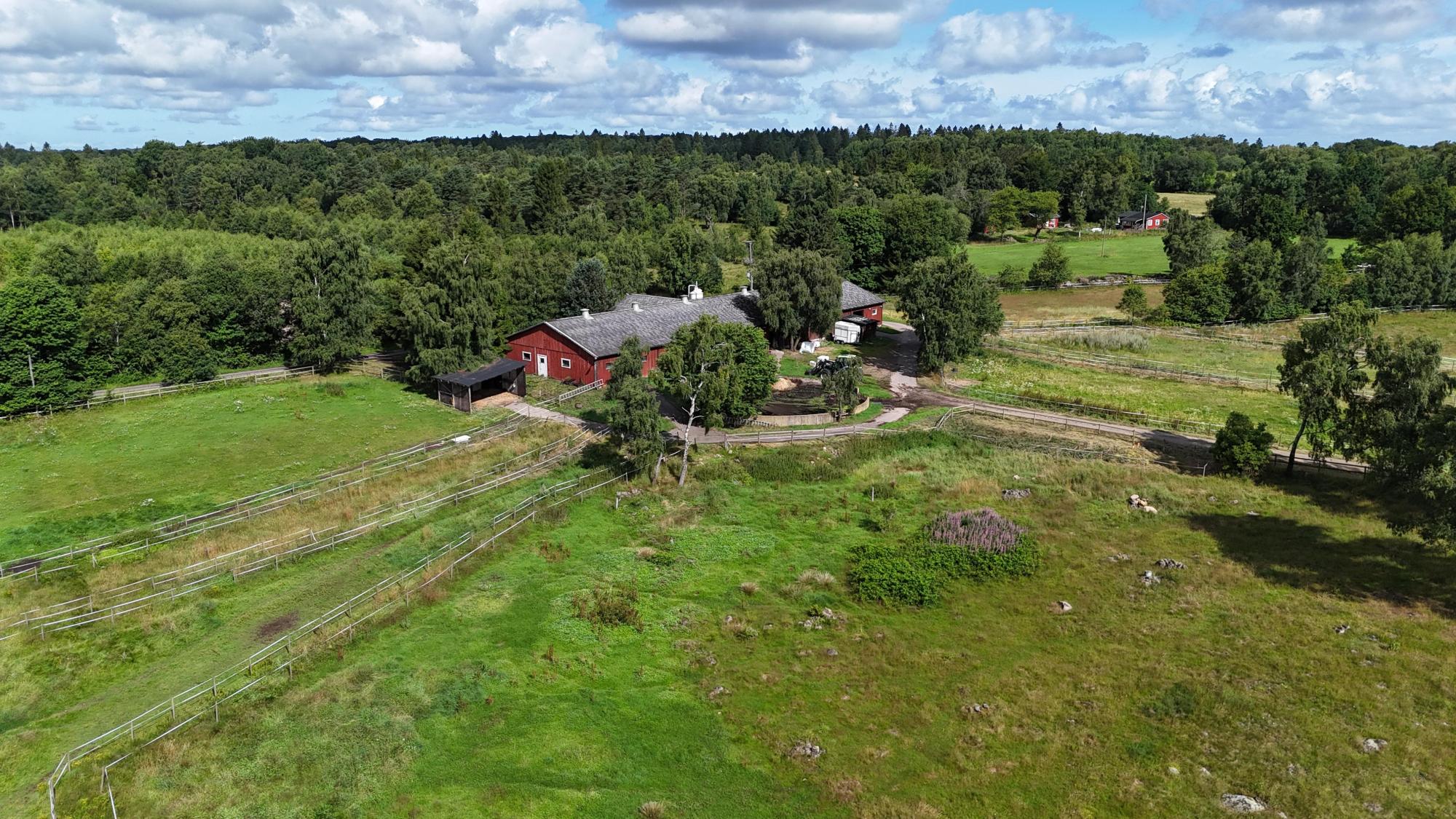 Sweden estate