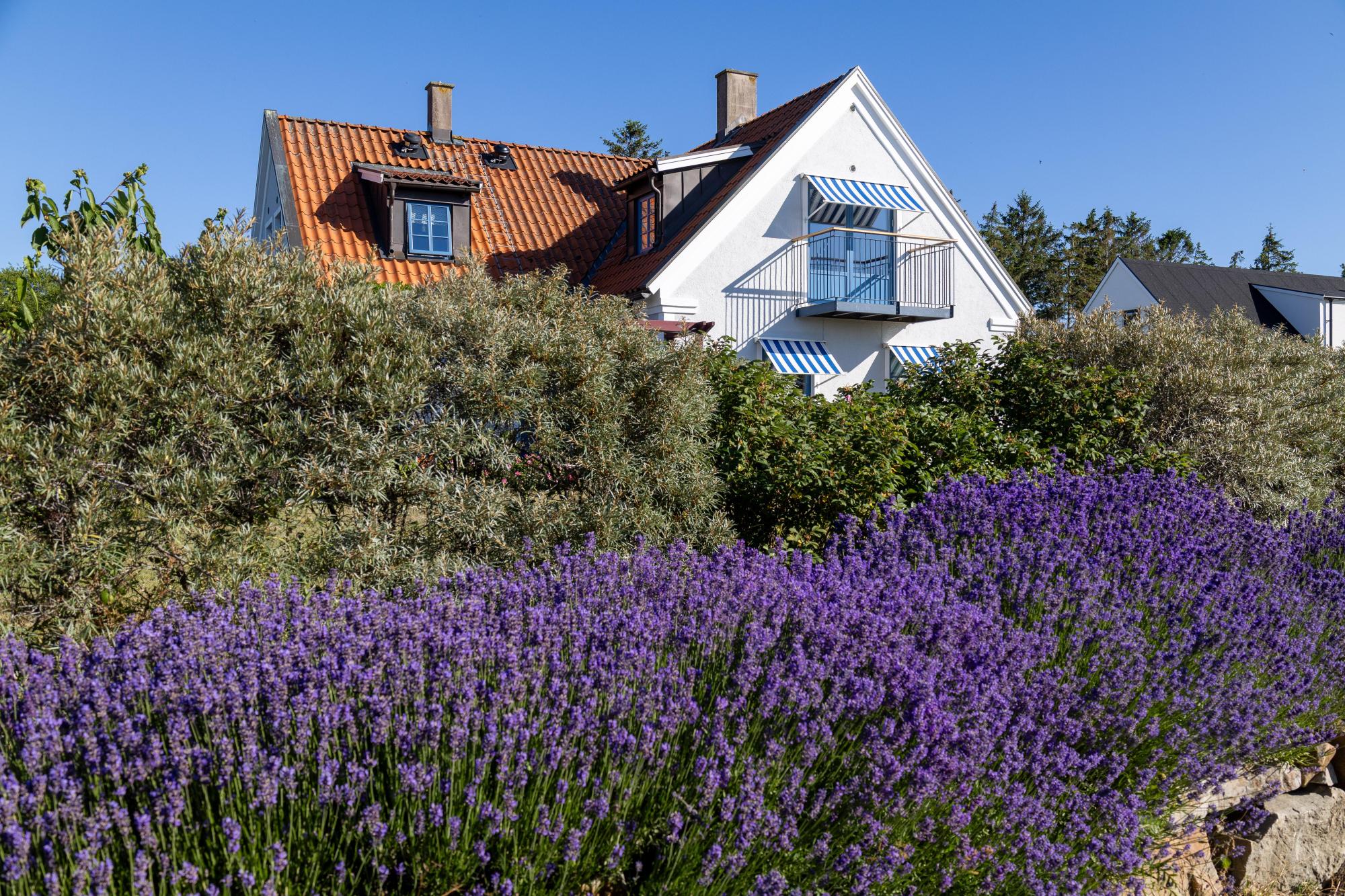 Sweden estate