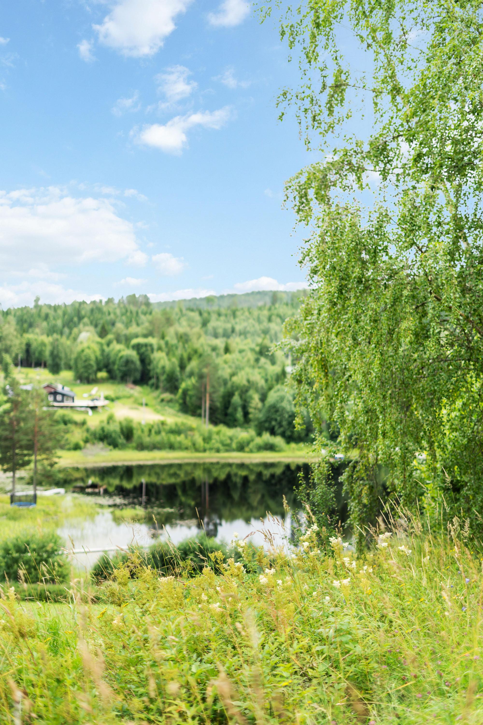 Sweden estate