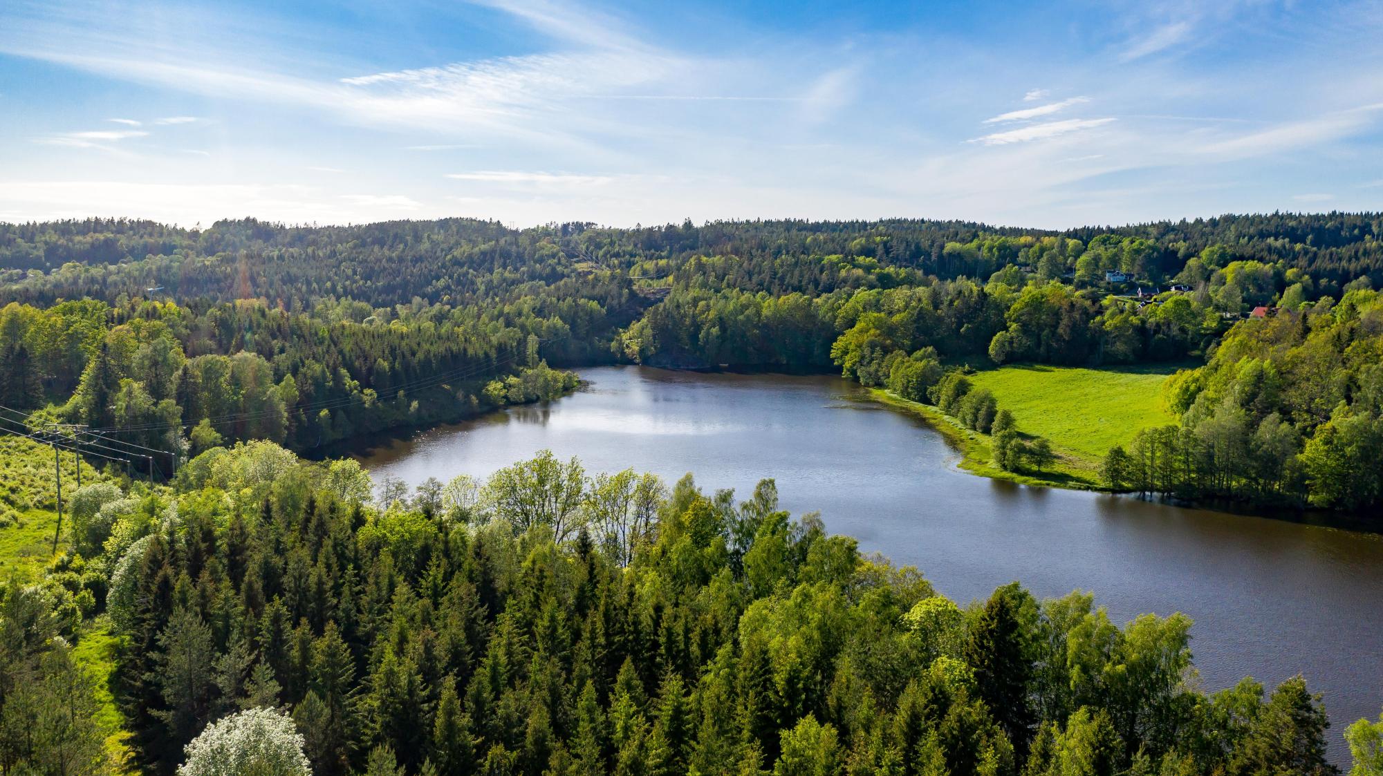 Sweden estate