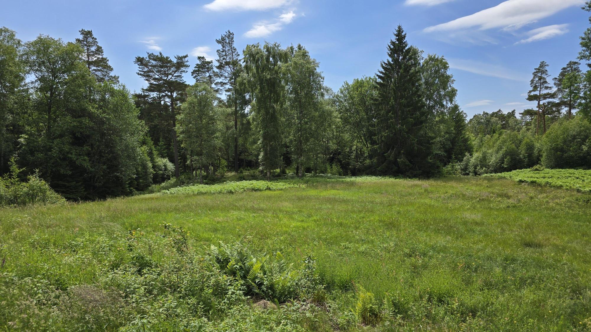 Sweden estate