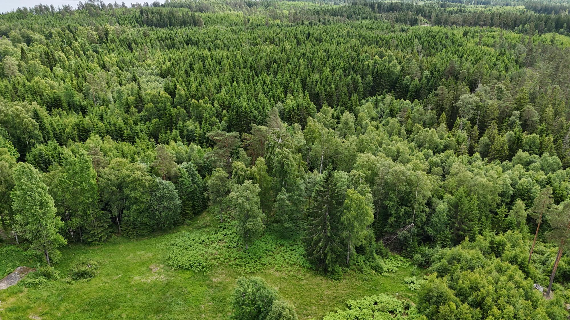 Sweden estate