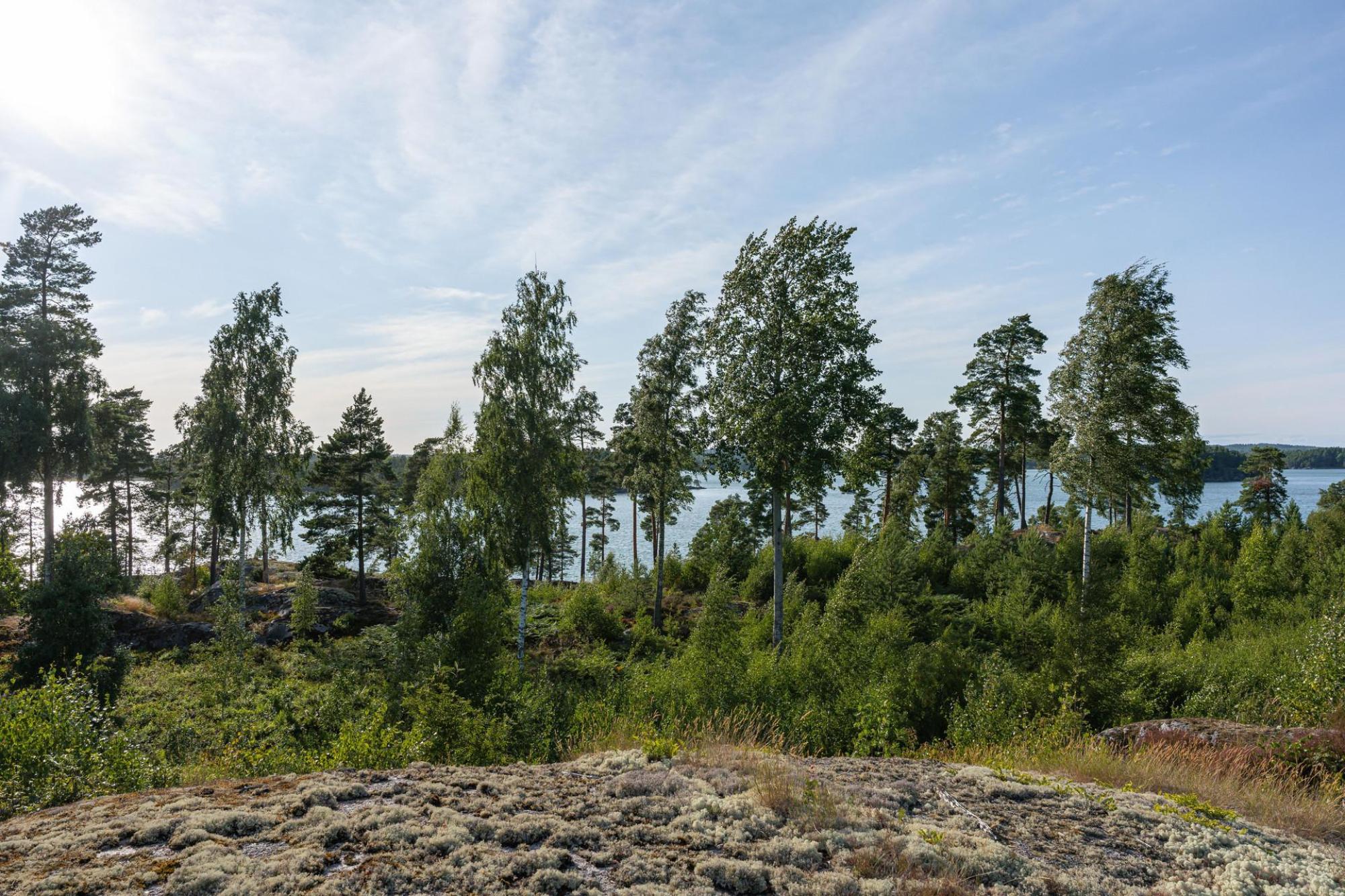 Sweden estate