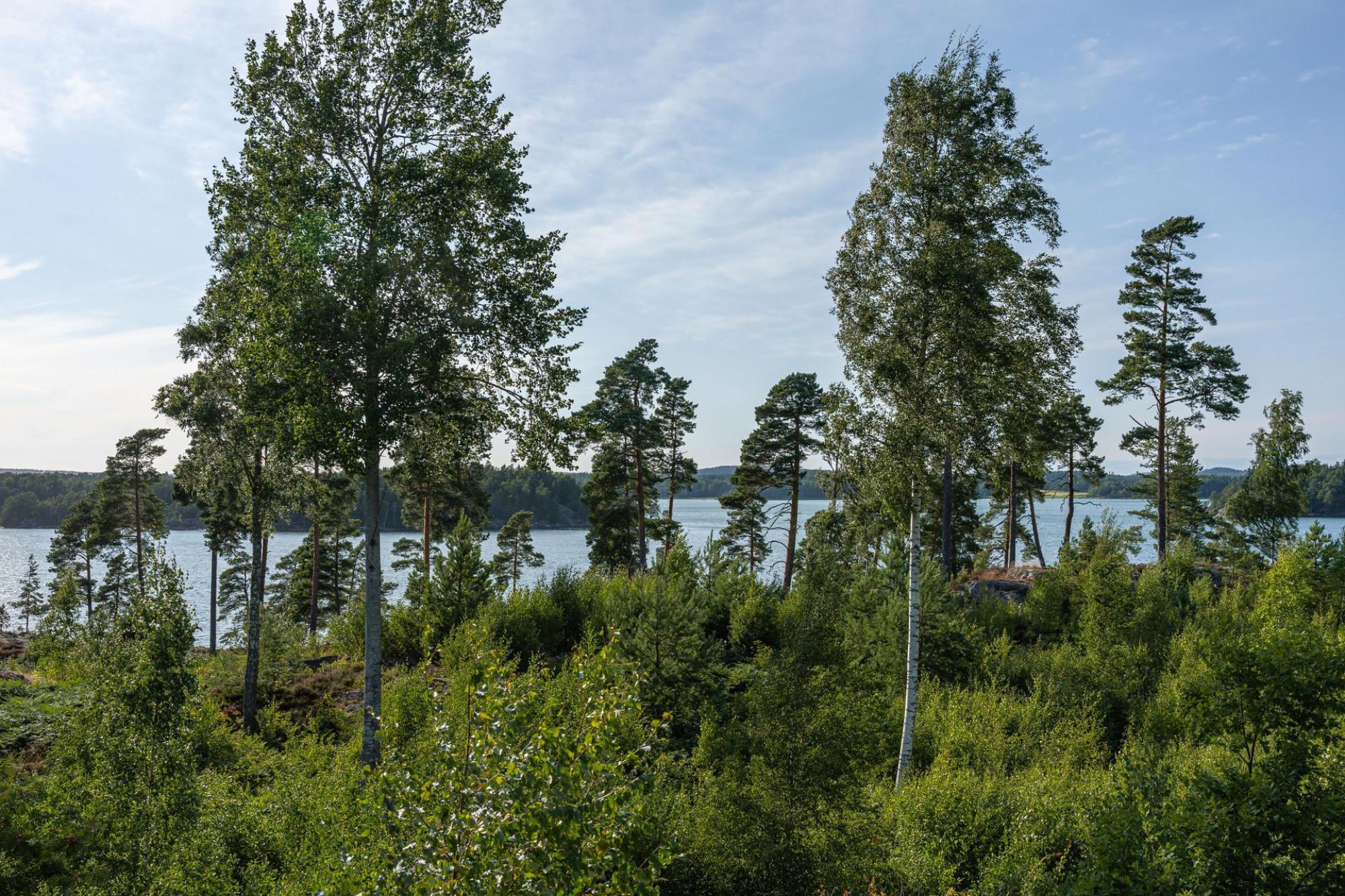 Sweden estate