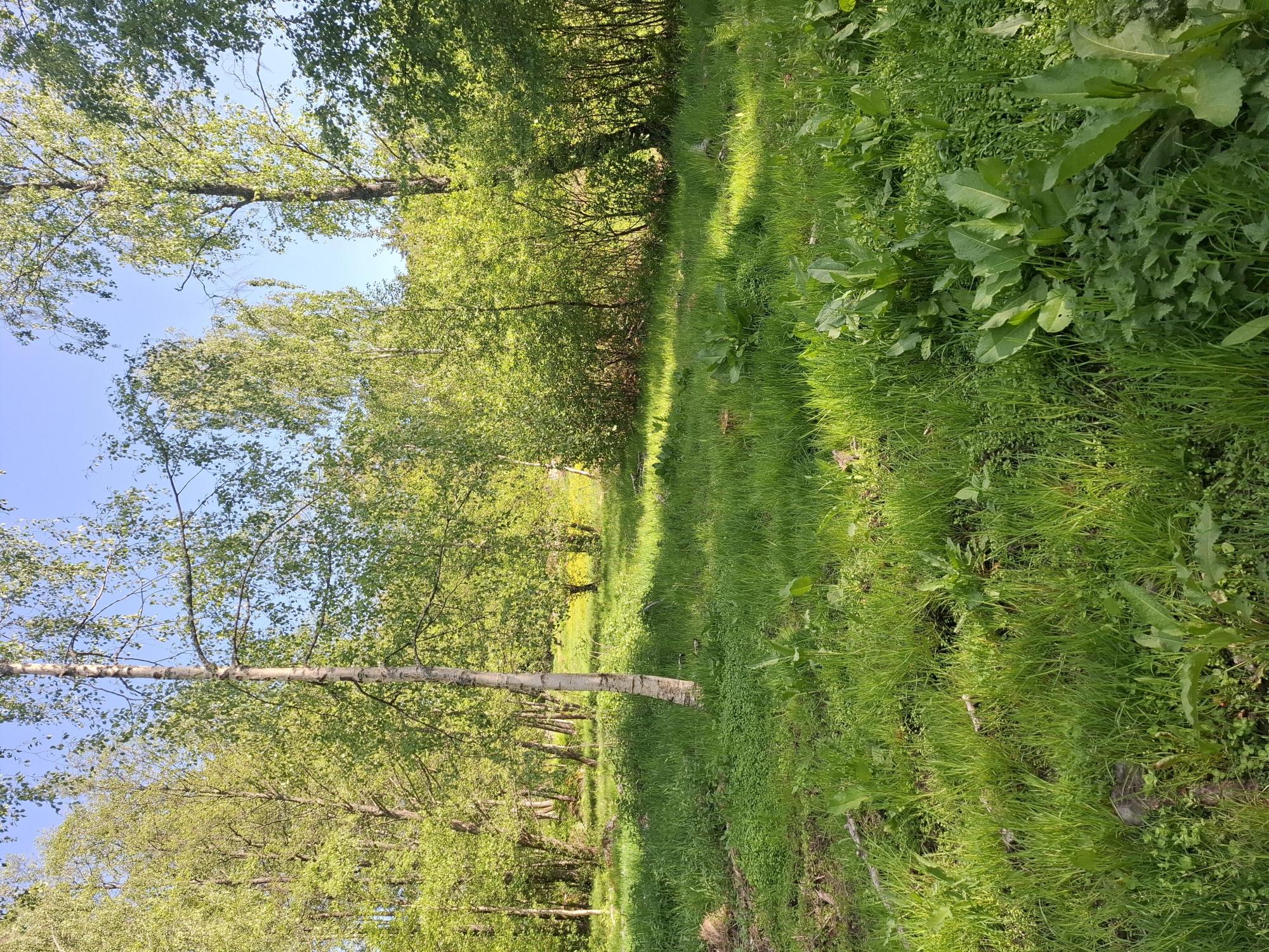 Sweden estate