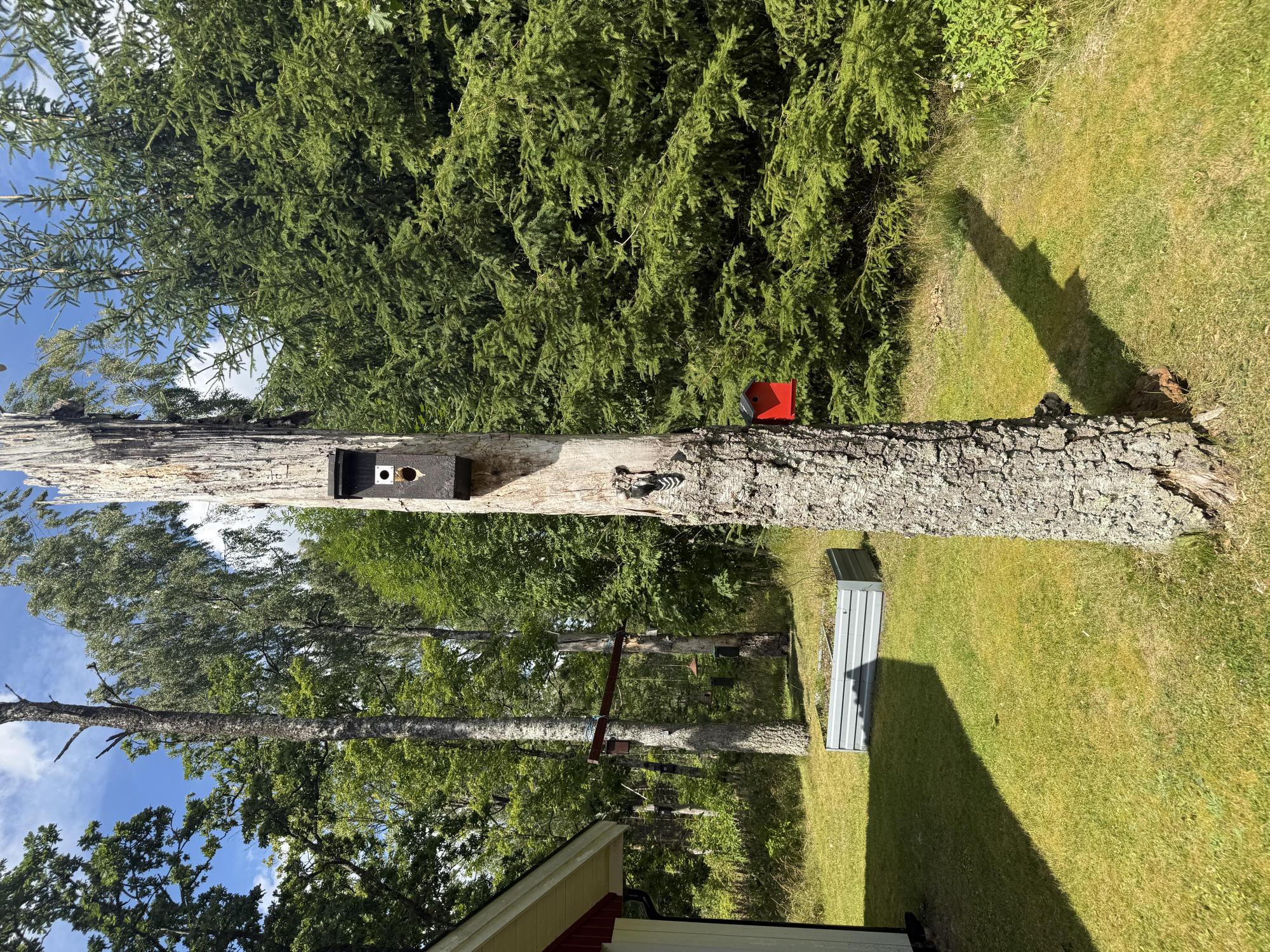 Sweden estate