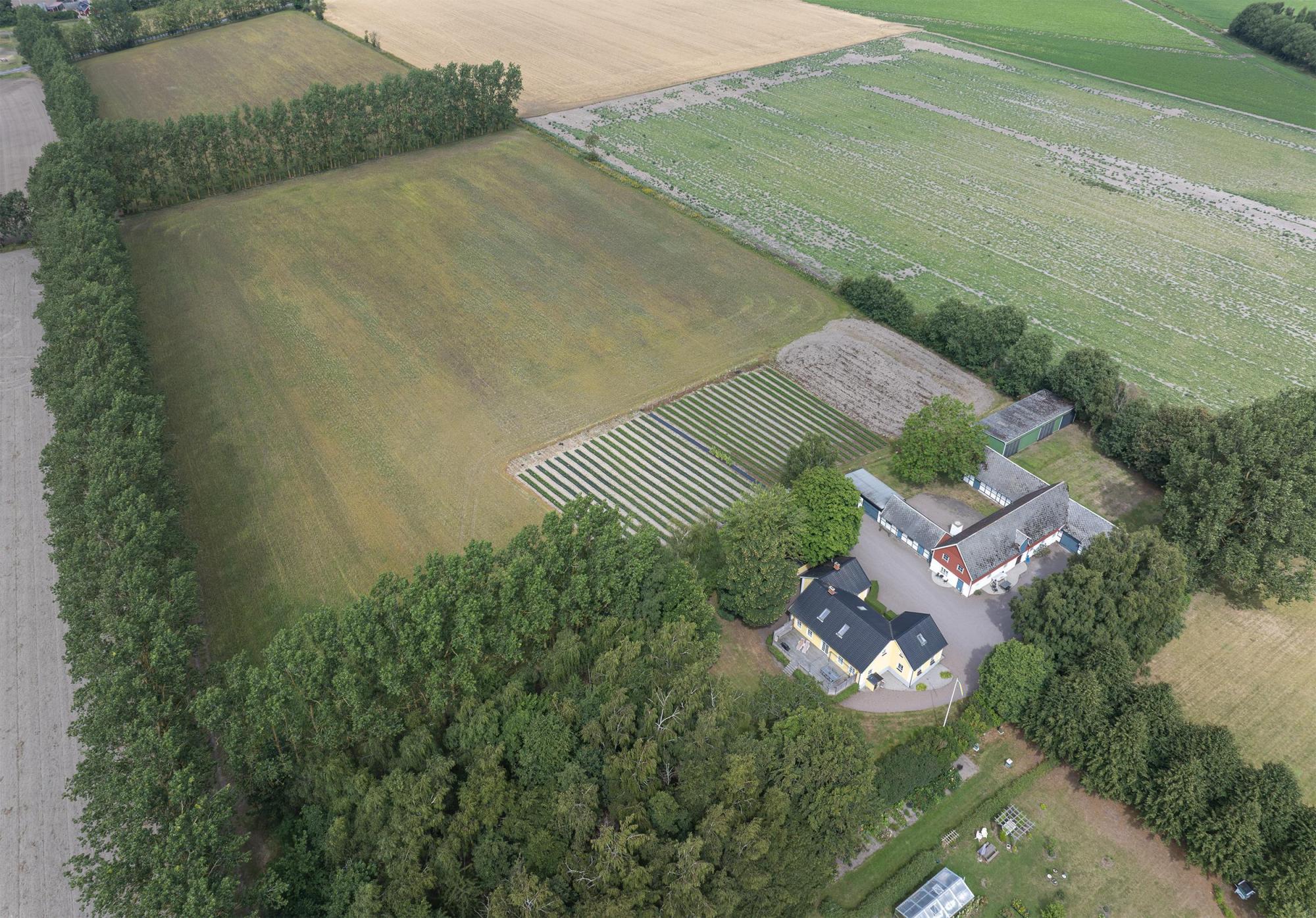 Sweden estate