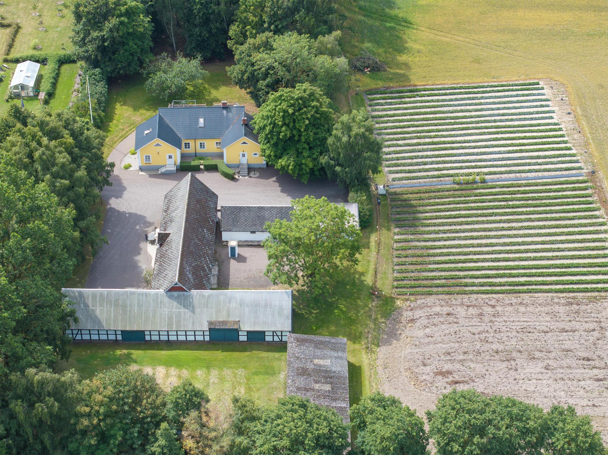 Sweden estate