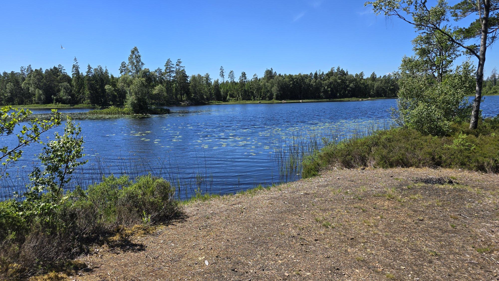 Sweden estate
