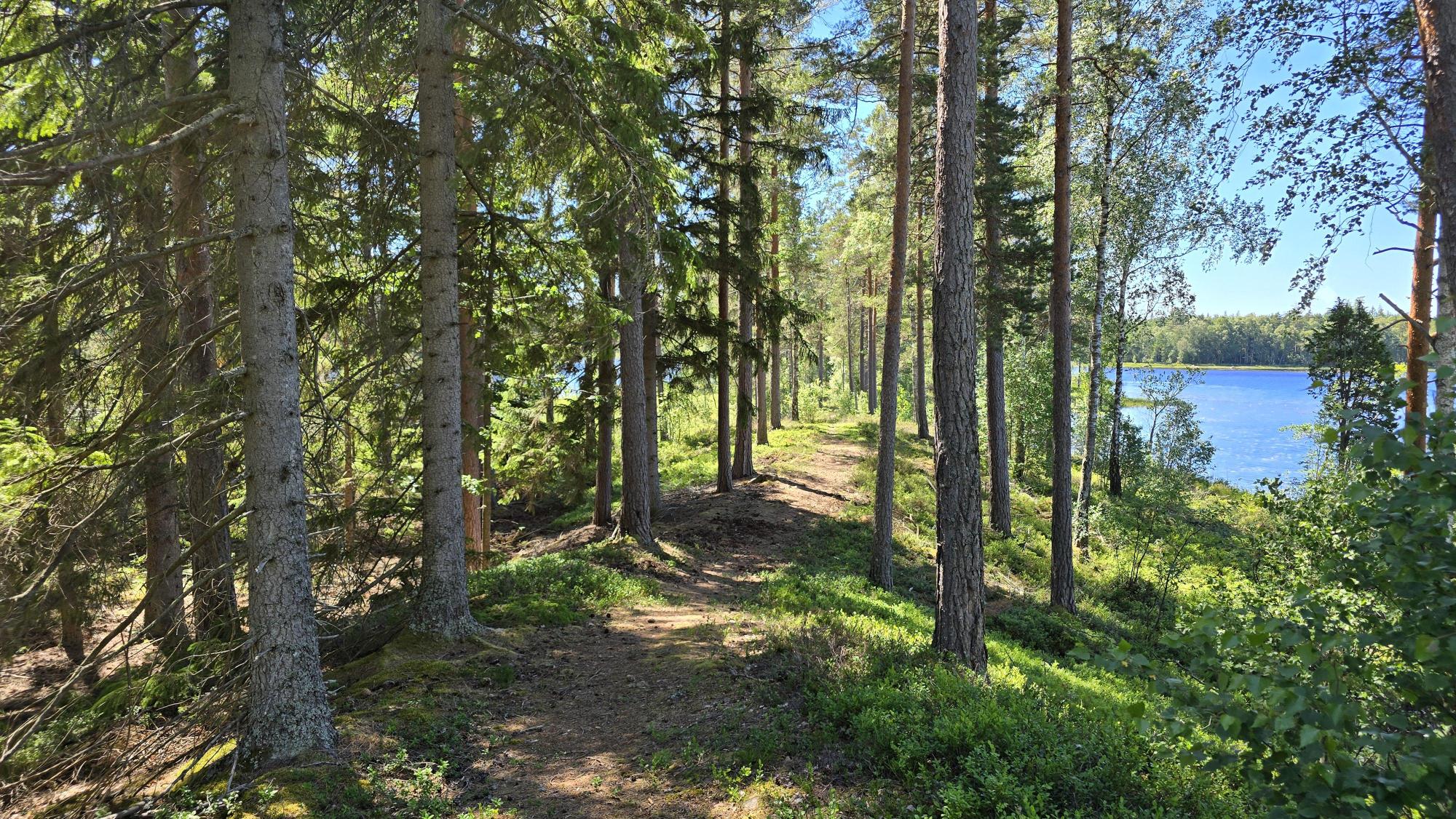 Sweden estate