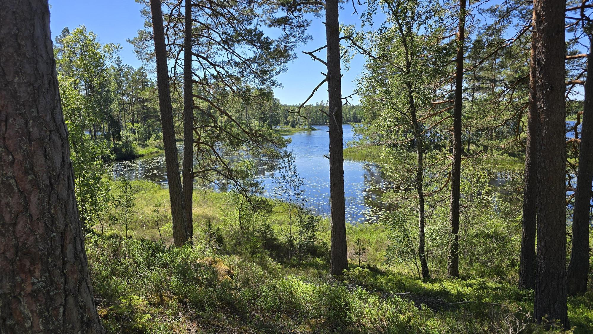 Sweden estate