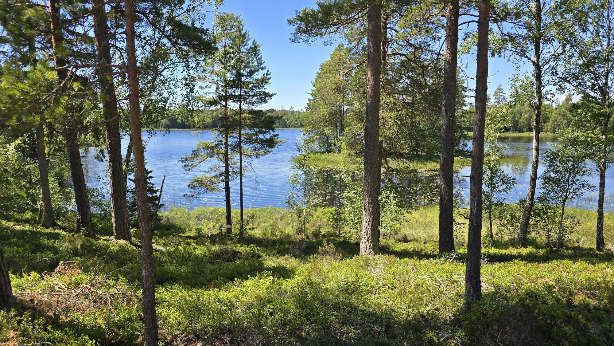 Sweden estate