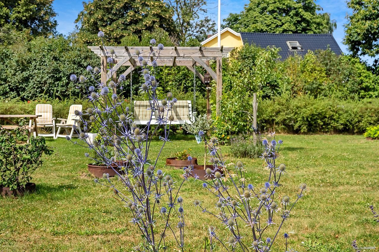 Sweden estate