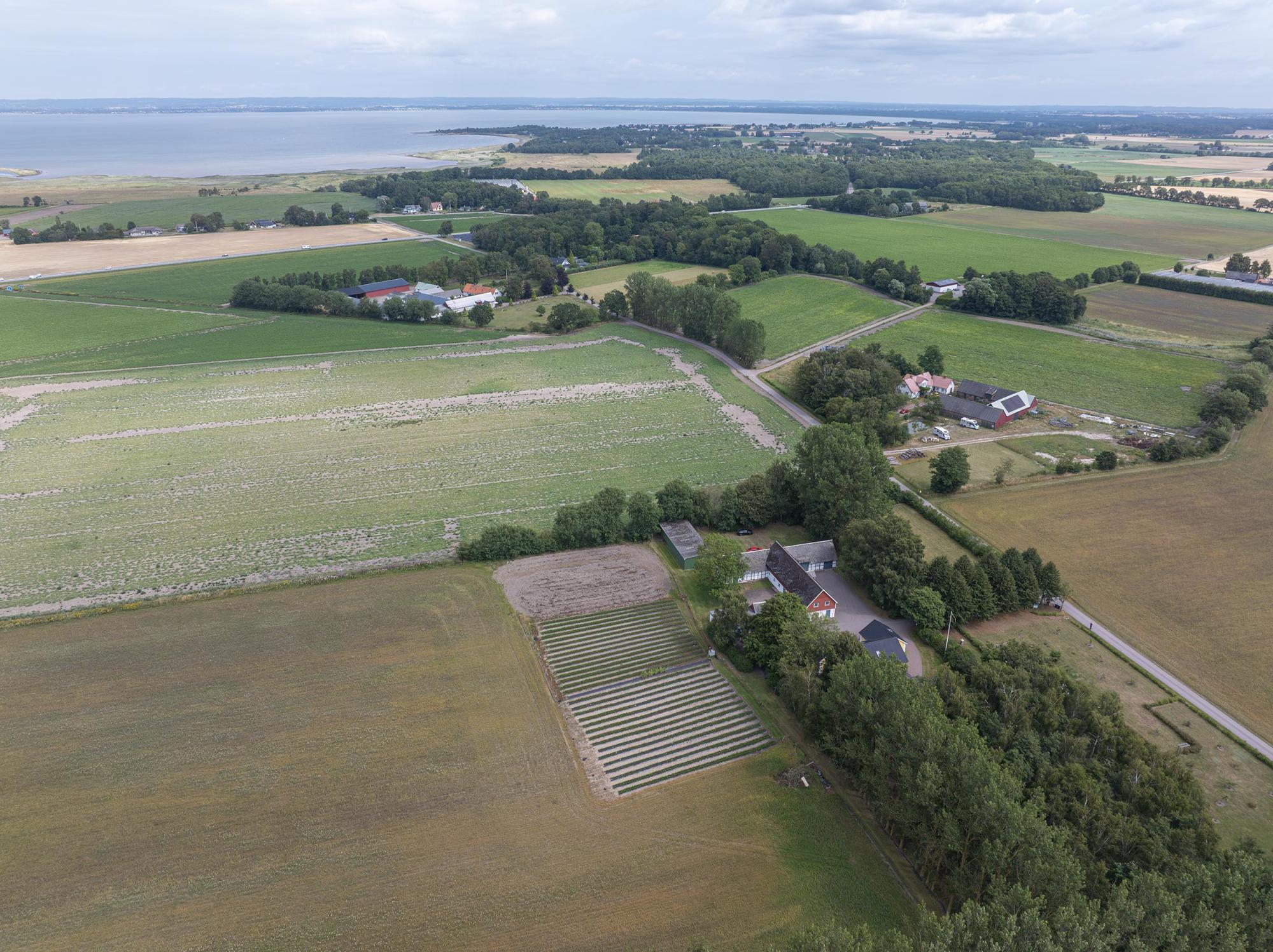 Sweden estate