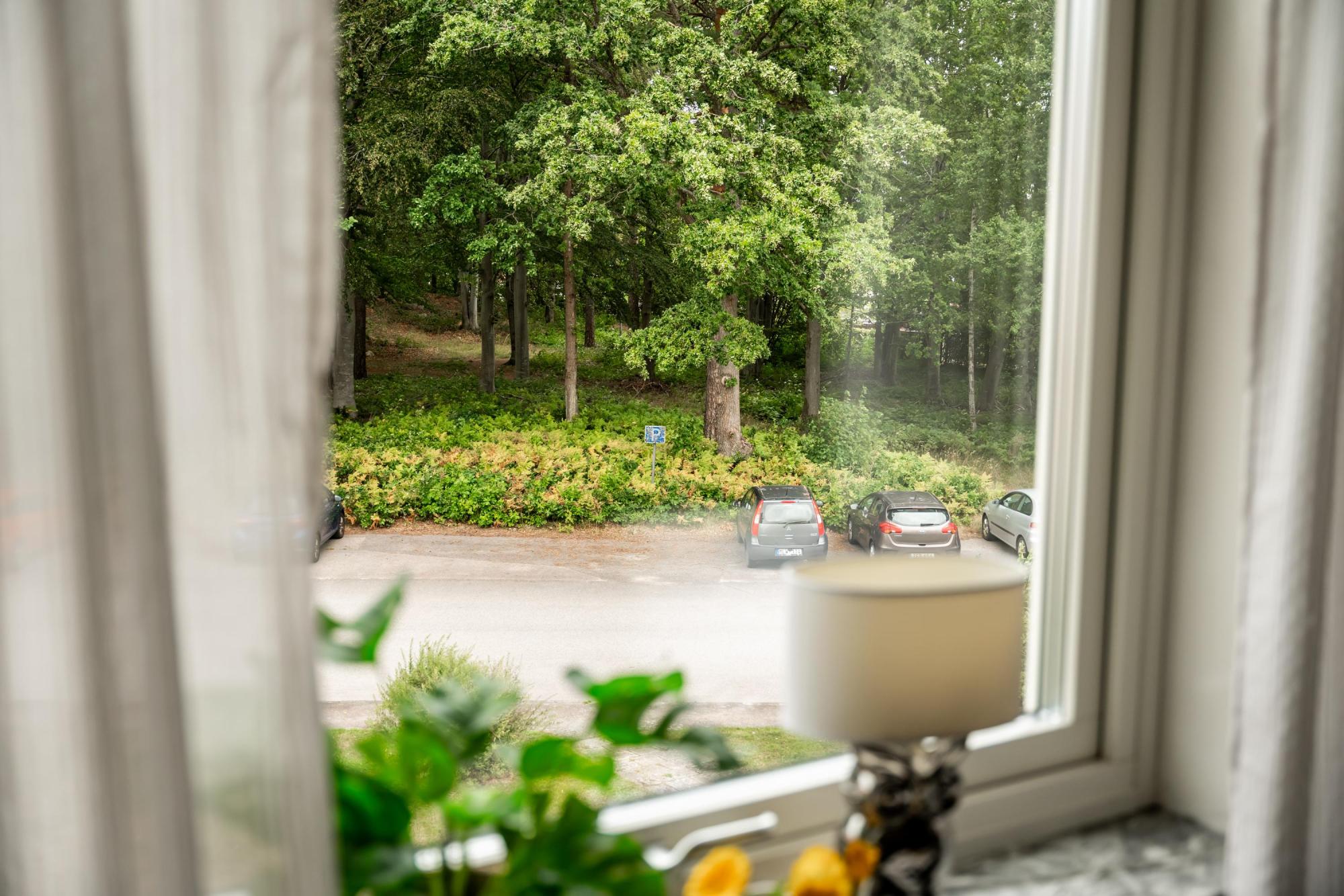 Sweden estate