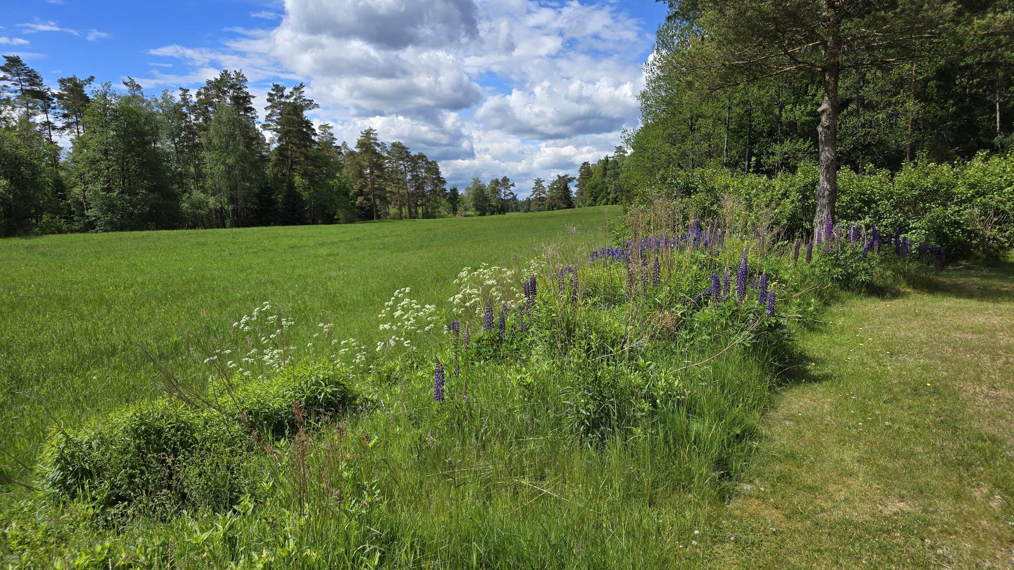 Sweden estate