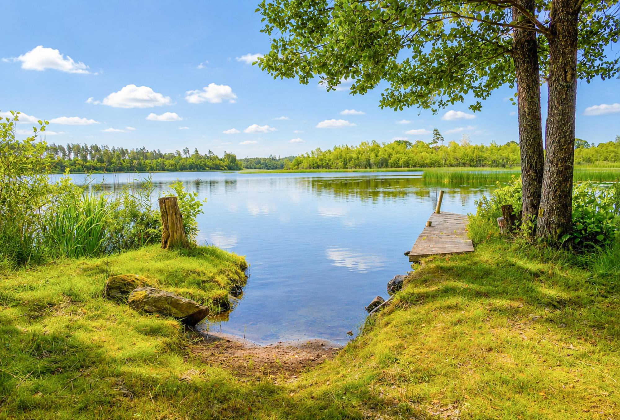 Sweden estate