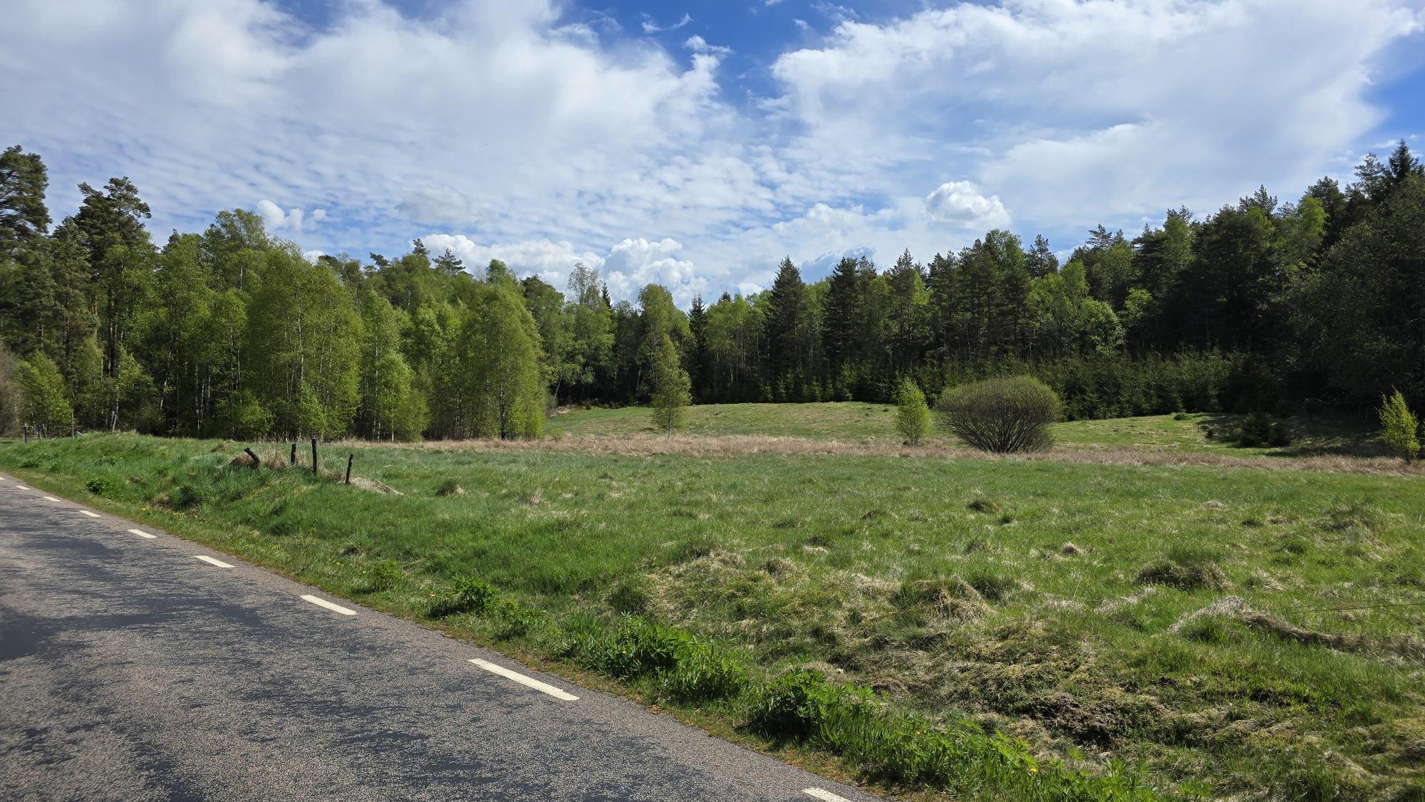 Sweden estate