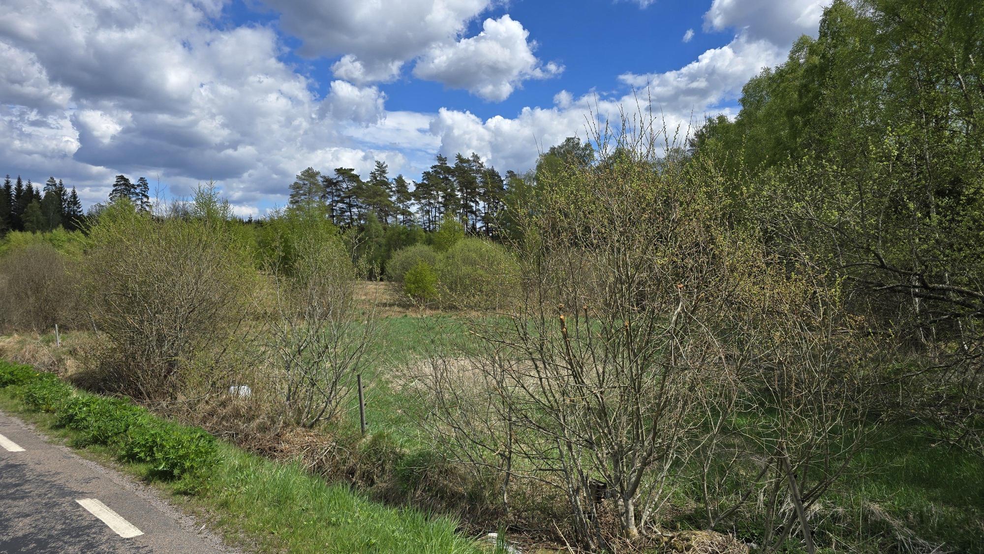 Sweden estate