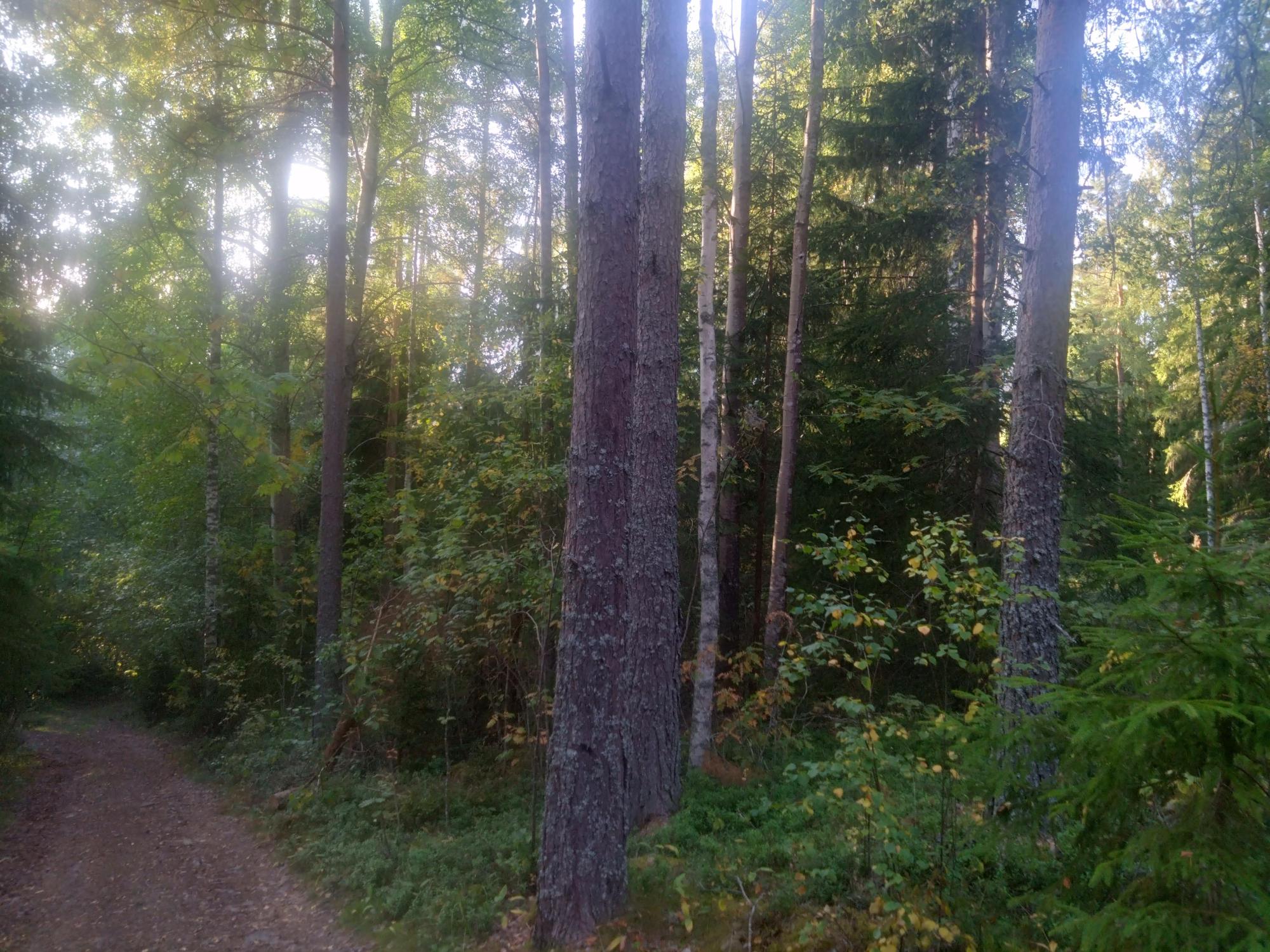 Sweden estate