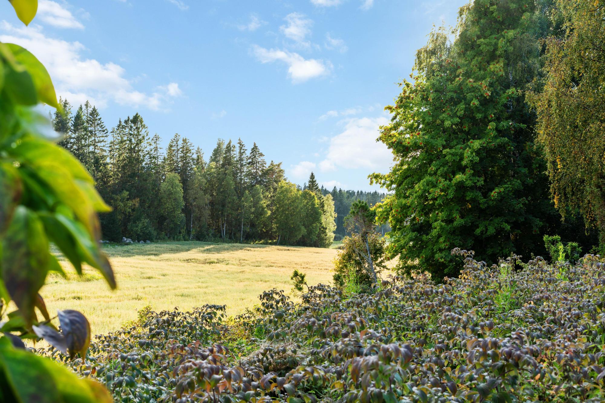 Sweden estate