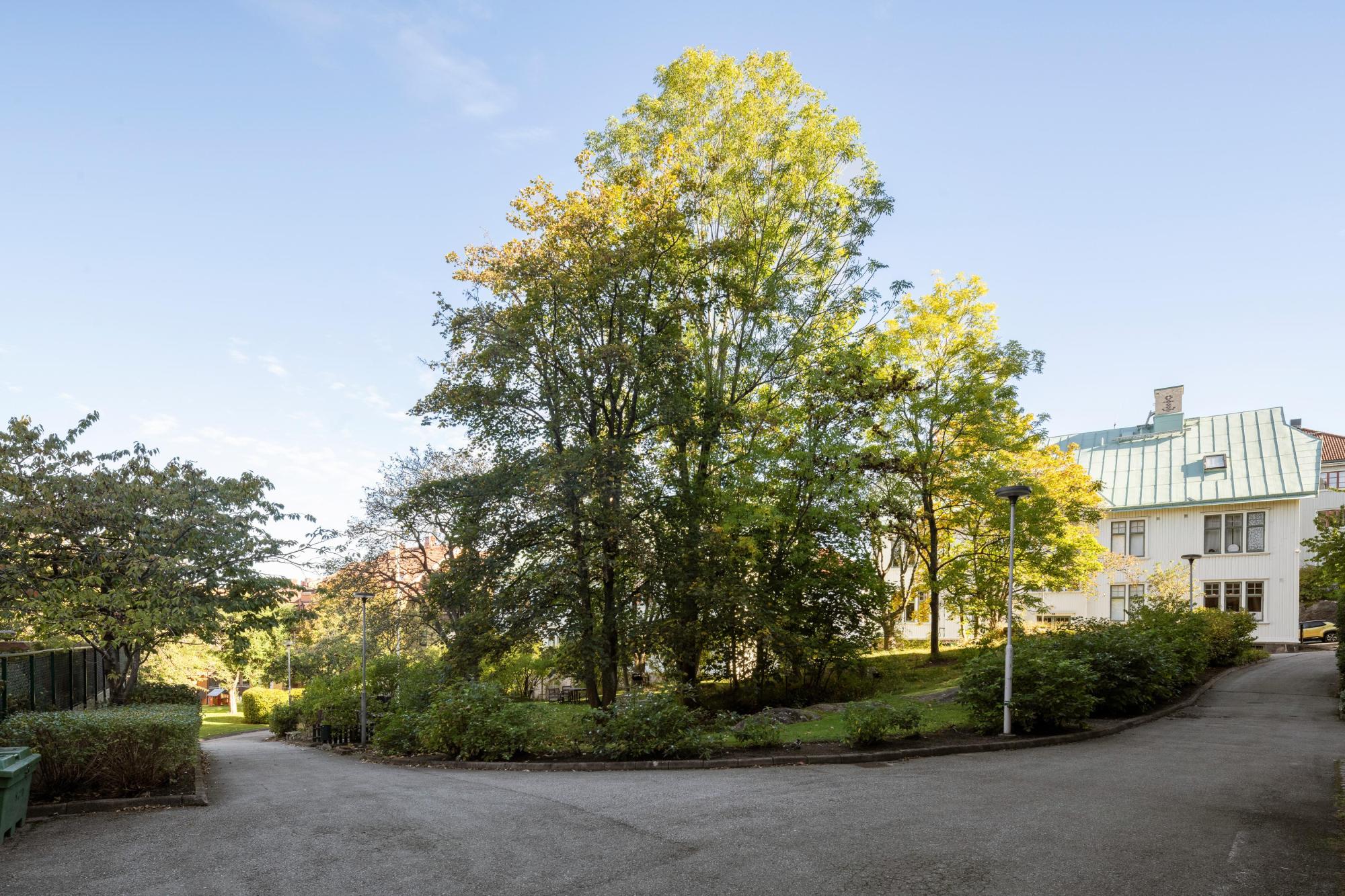 Sweden estate