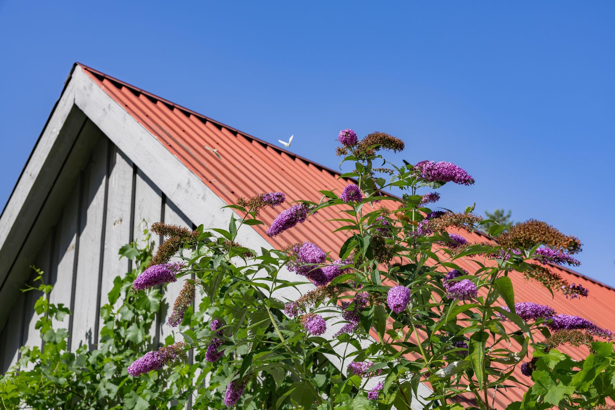 Sweden estate
